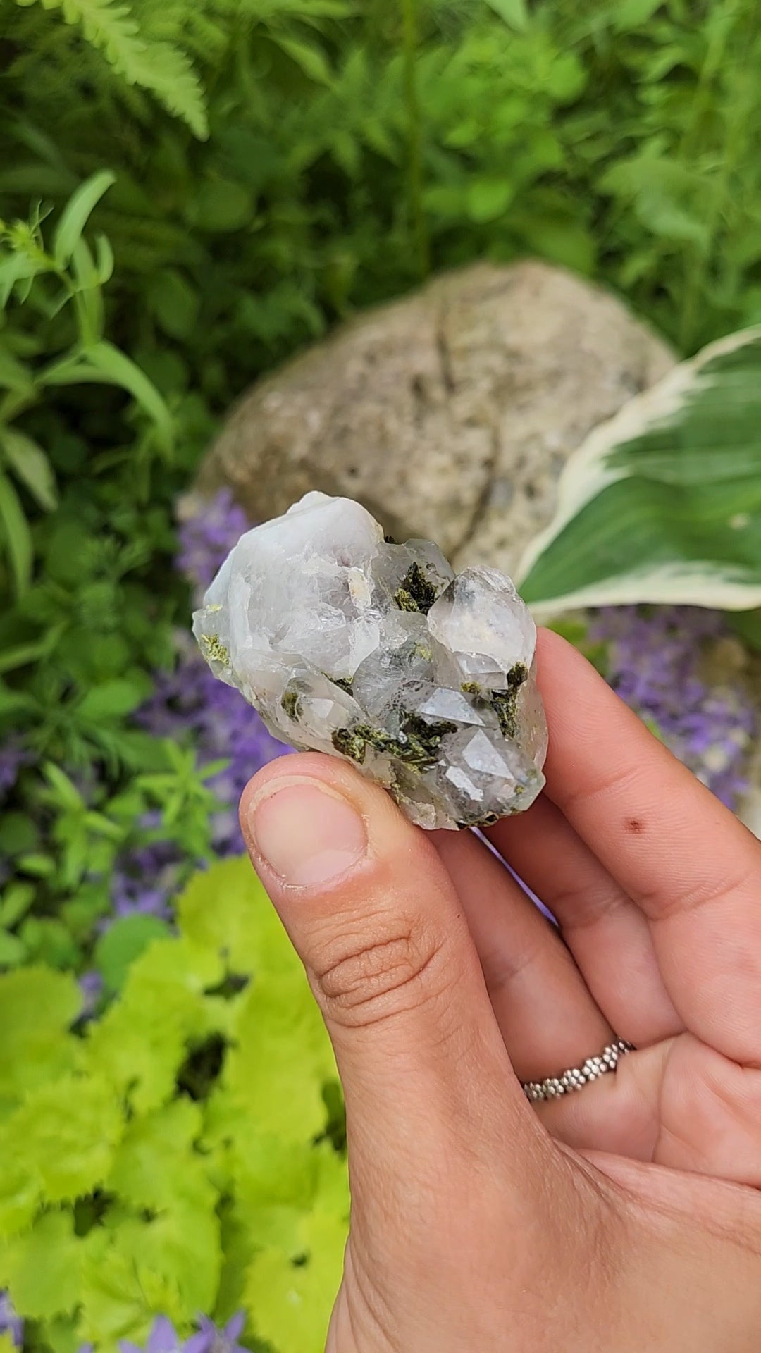 Epidote and Quartz C