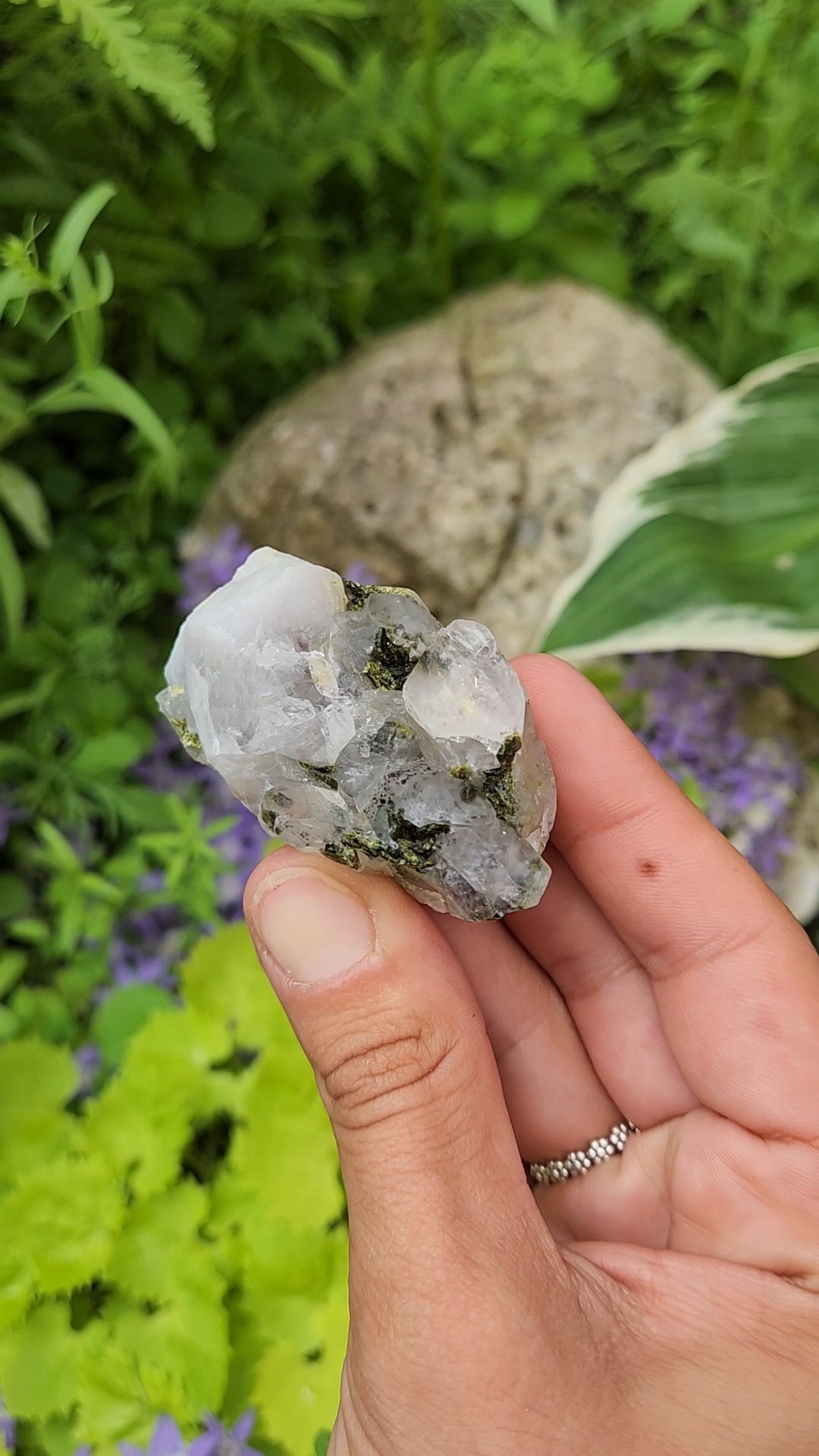 Epidote and Quartz C