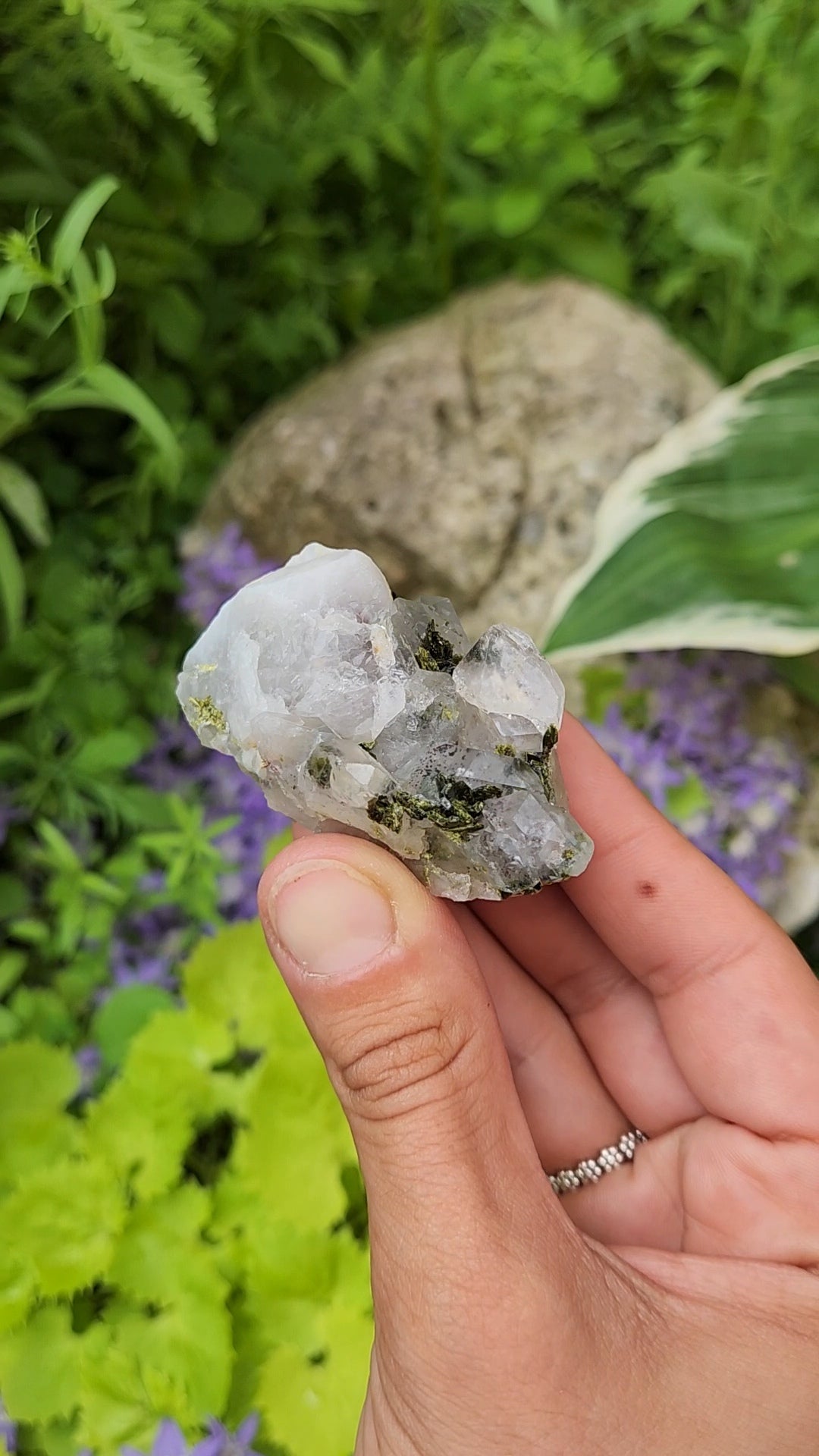 Epidote and Quartz C