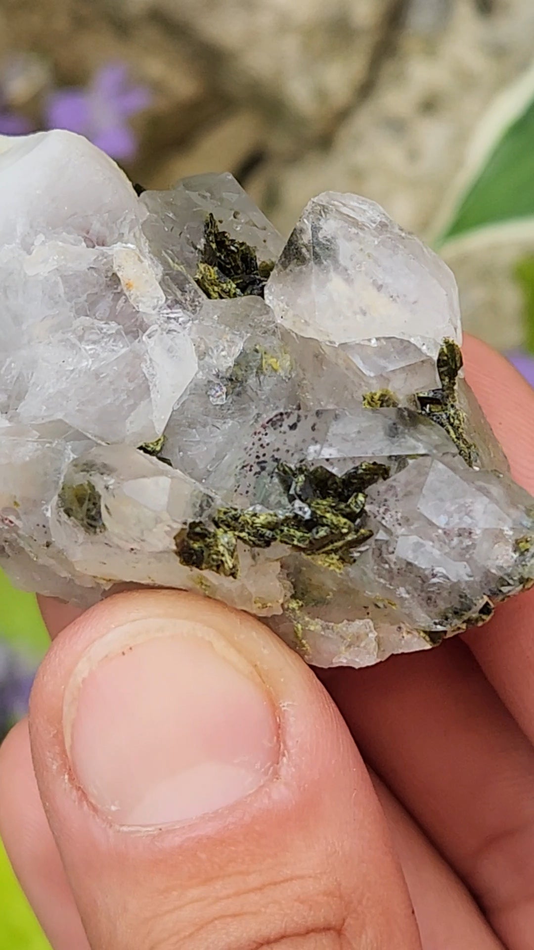 Epidote and Quartz C