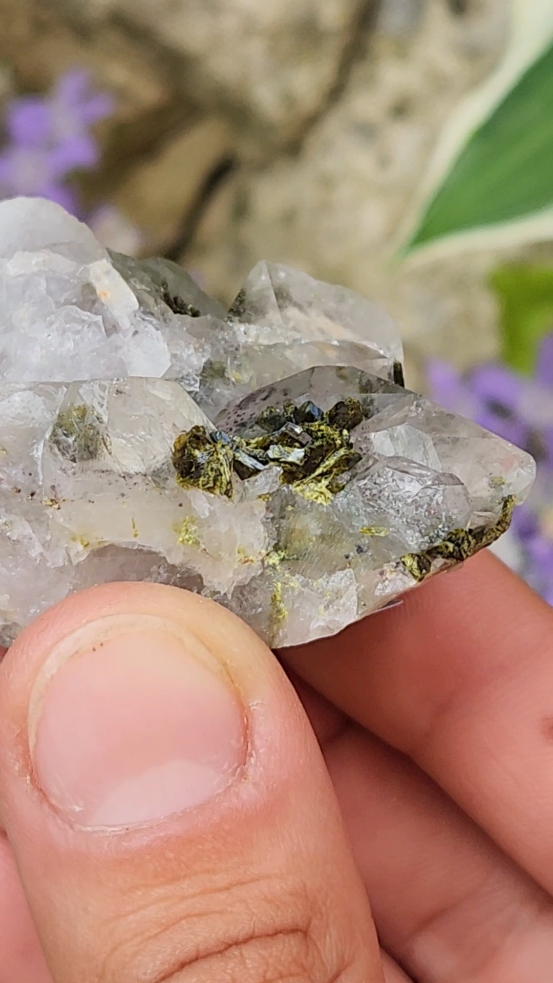 Epidote and Quartz C