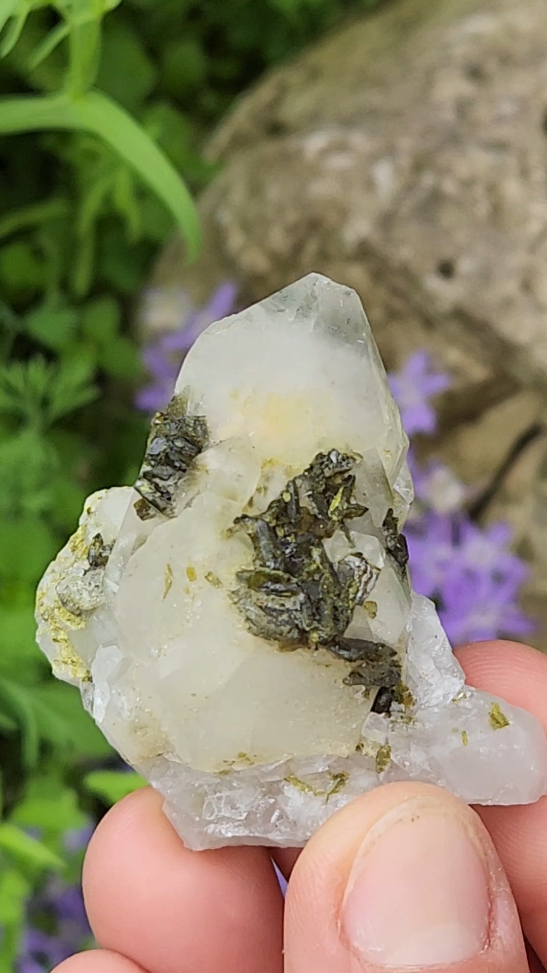 Epidote and Quartz H