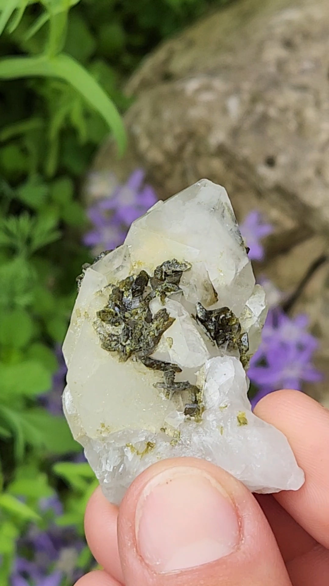 Epidote and Quartz H