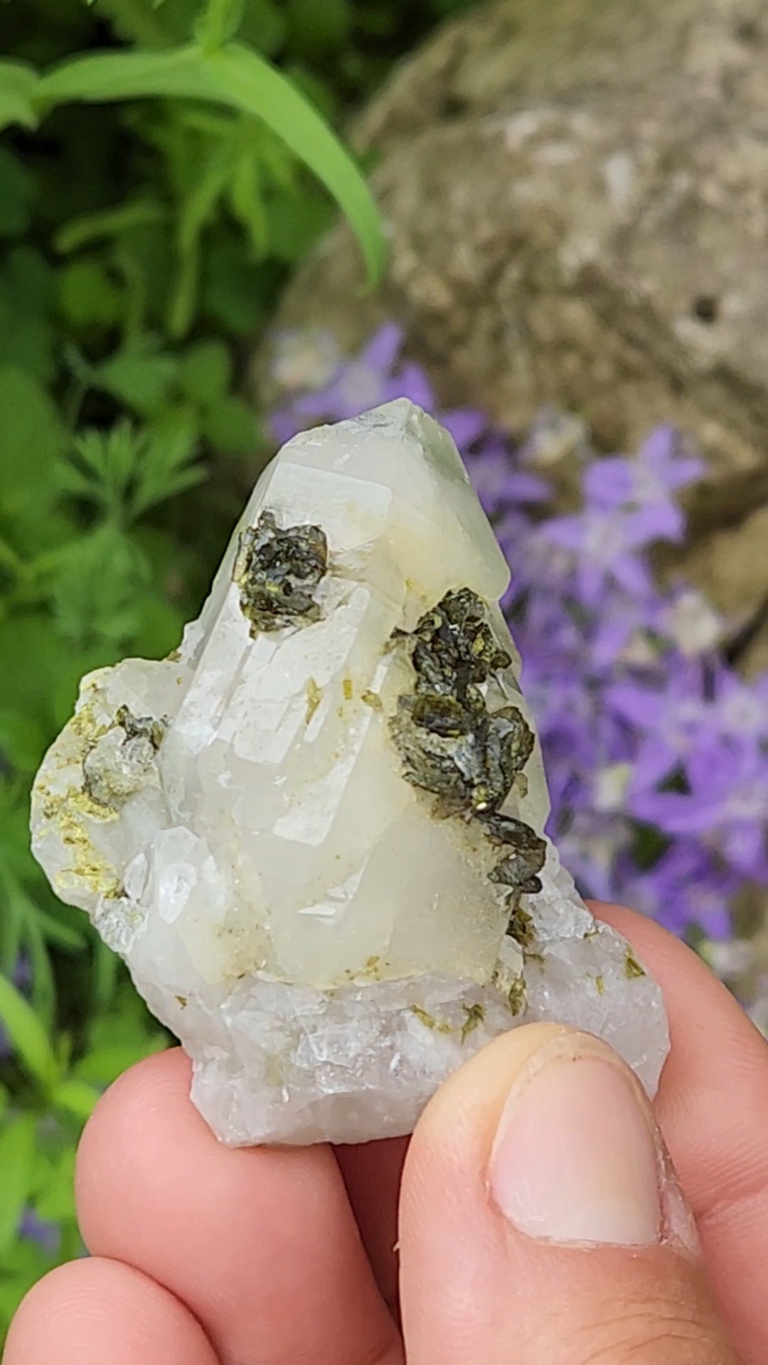 Epidote and Quartz H