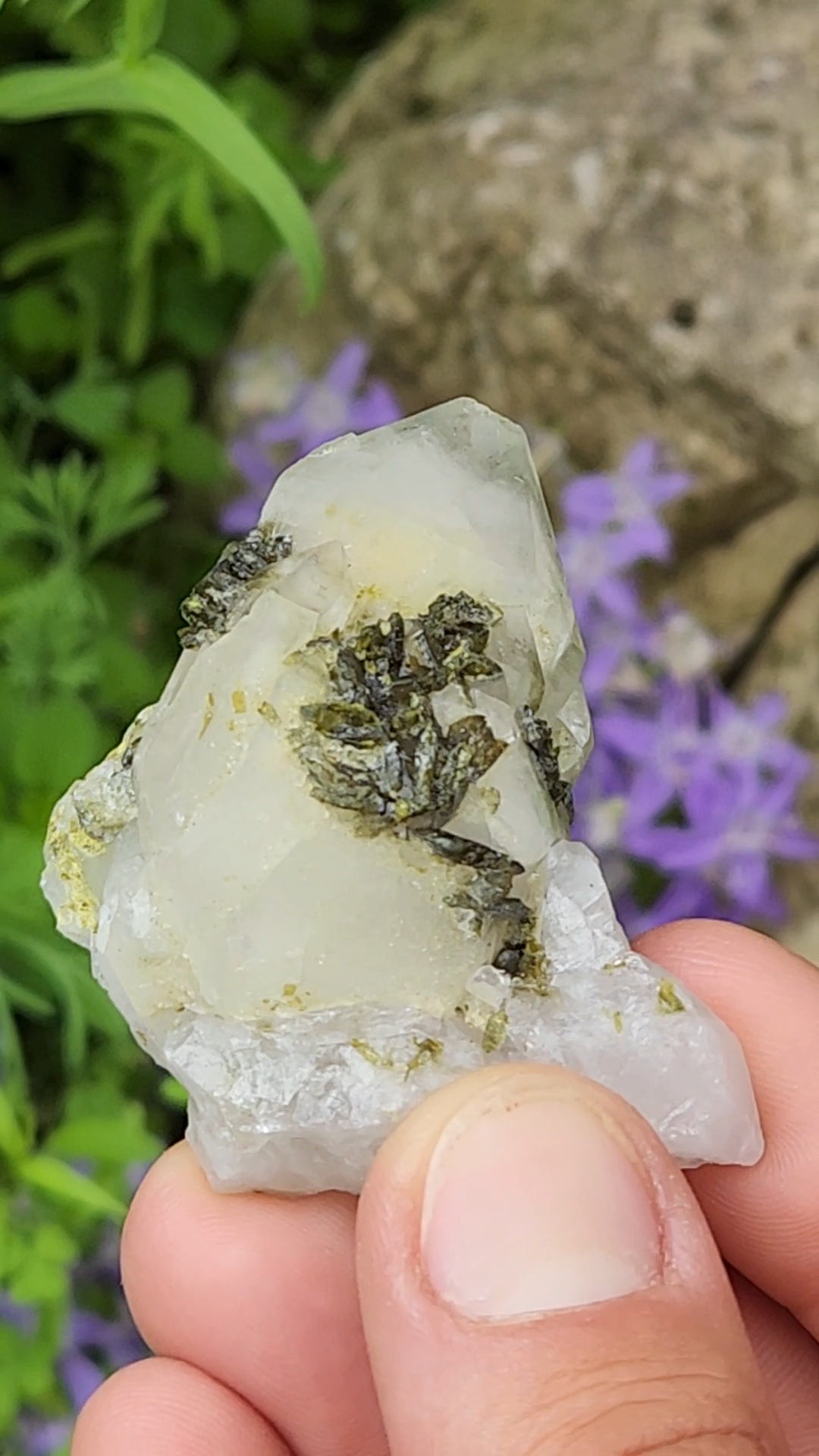Epidote and Quartz H