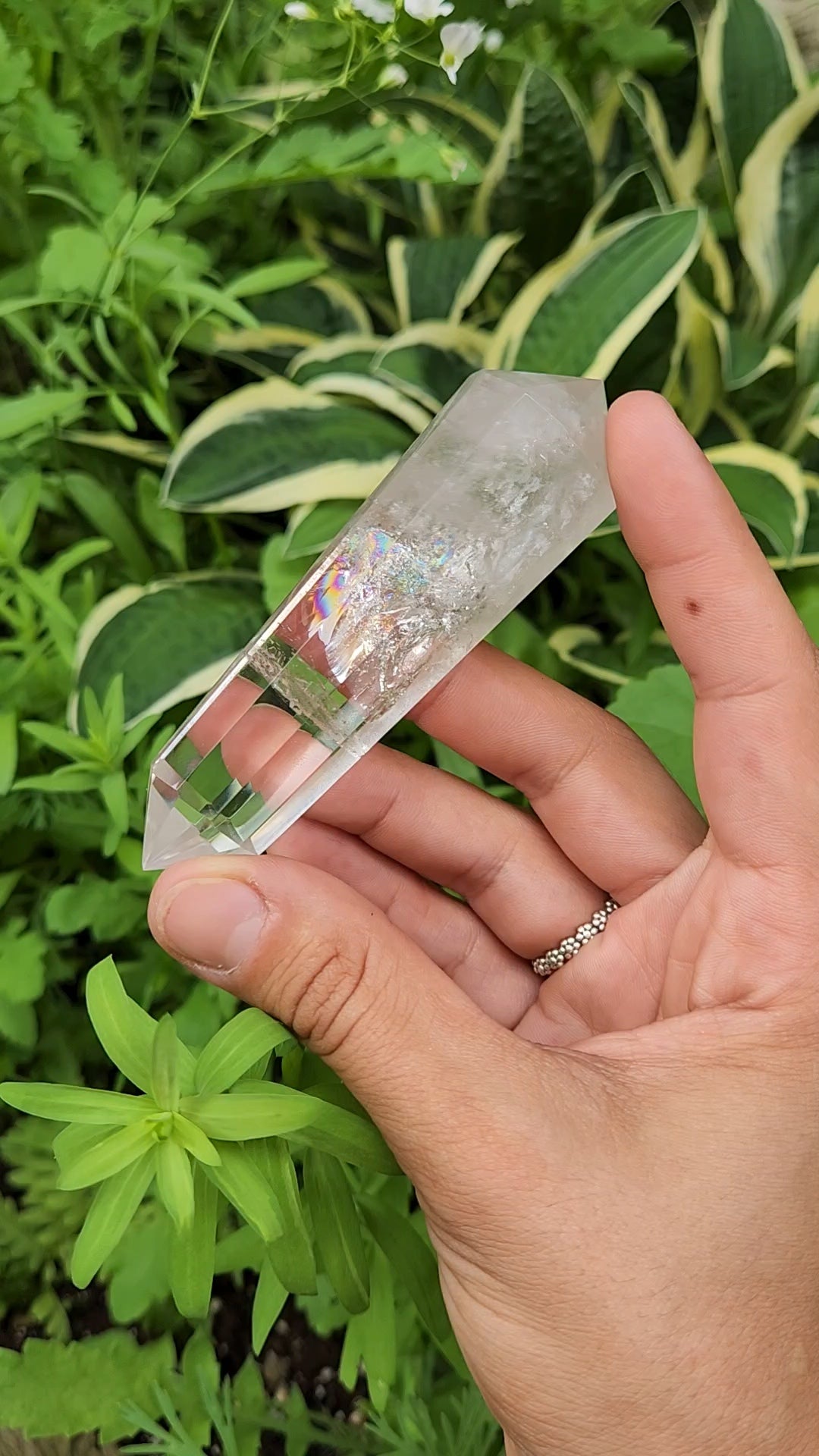Clear Quartz Vogel