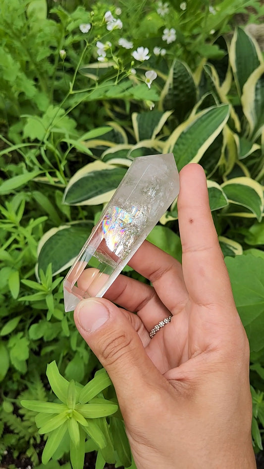 Clear Quartz Vogel