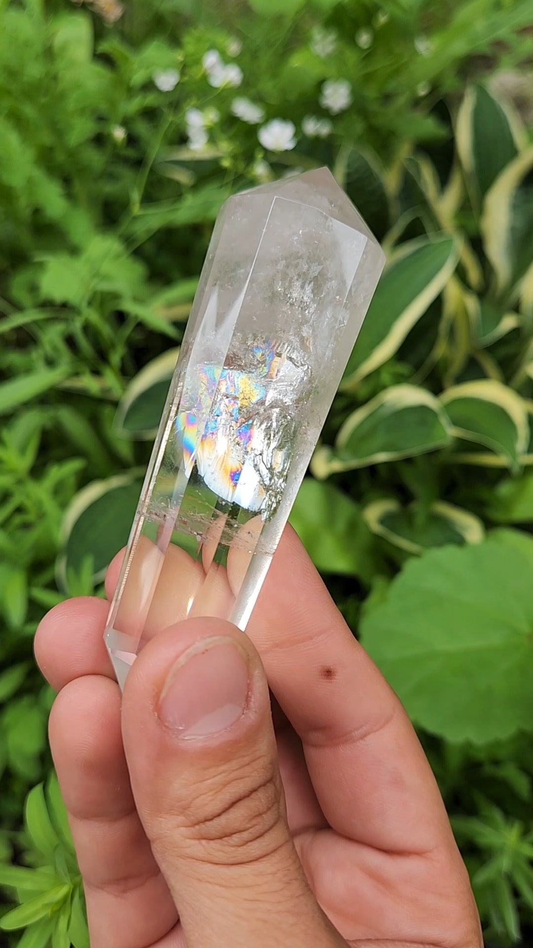 Clear Quartz Vogel