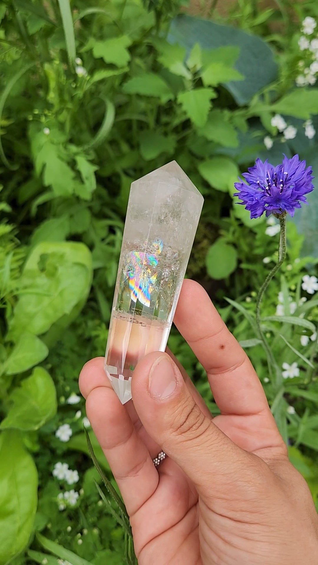 Clear Quartz Vogel