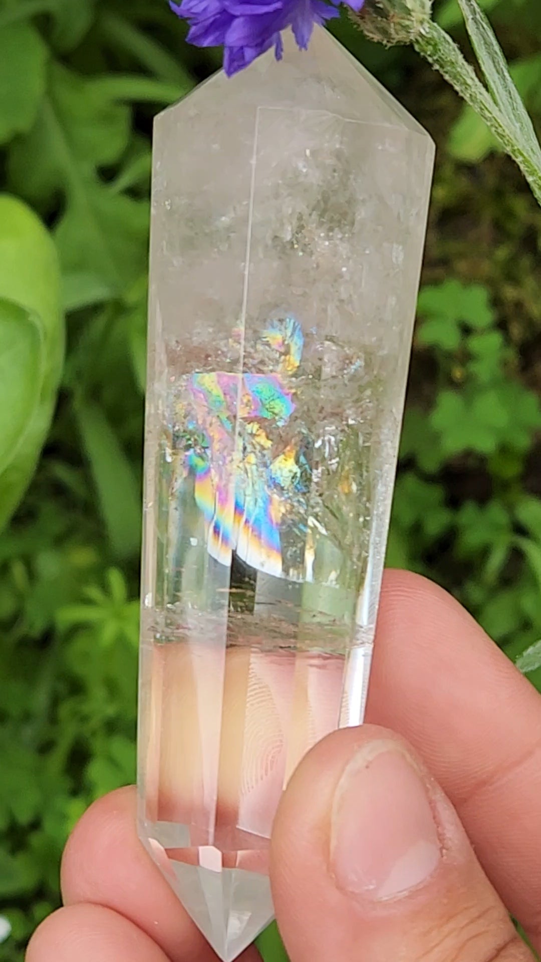 Clear Quartz Vogel