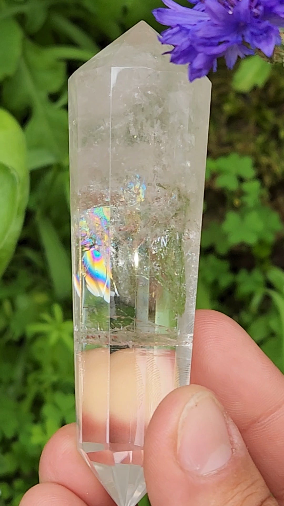 Clear Quartz Vogel
