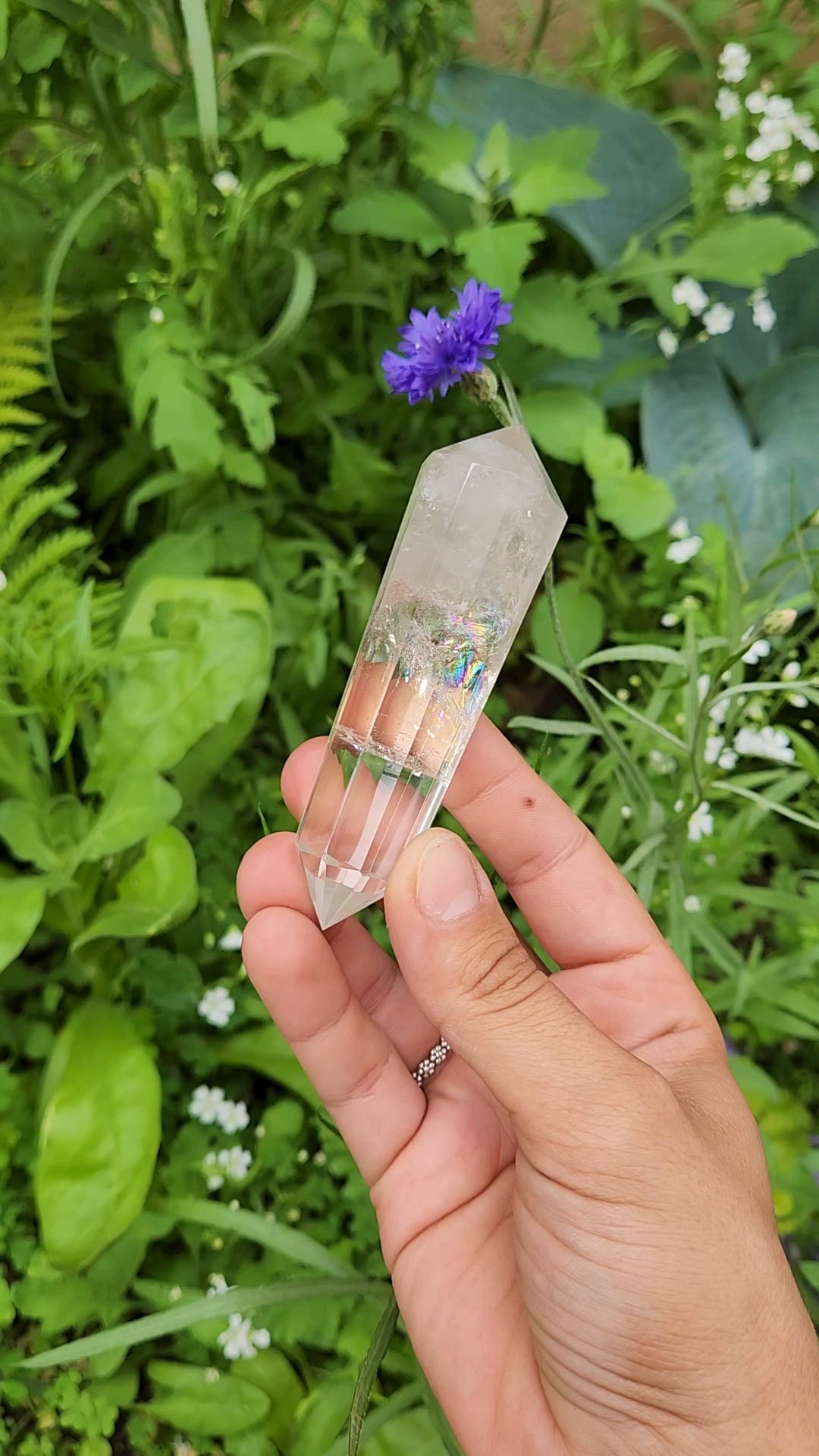 Clear Quartz Vogel