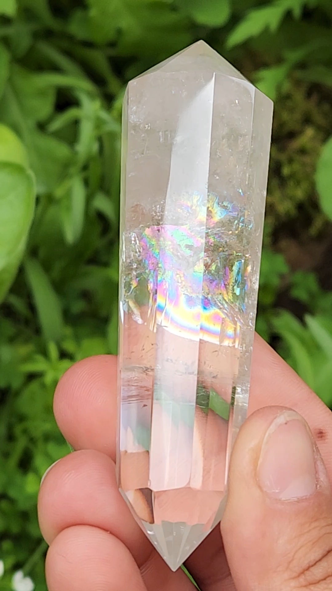 Clear Quartz Vogel