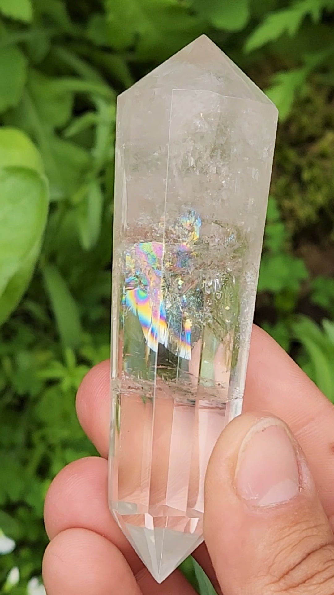 Clear Quartz Vogel
