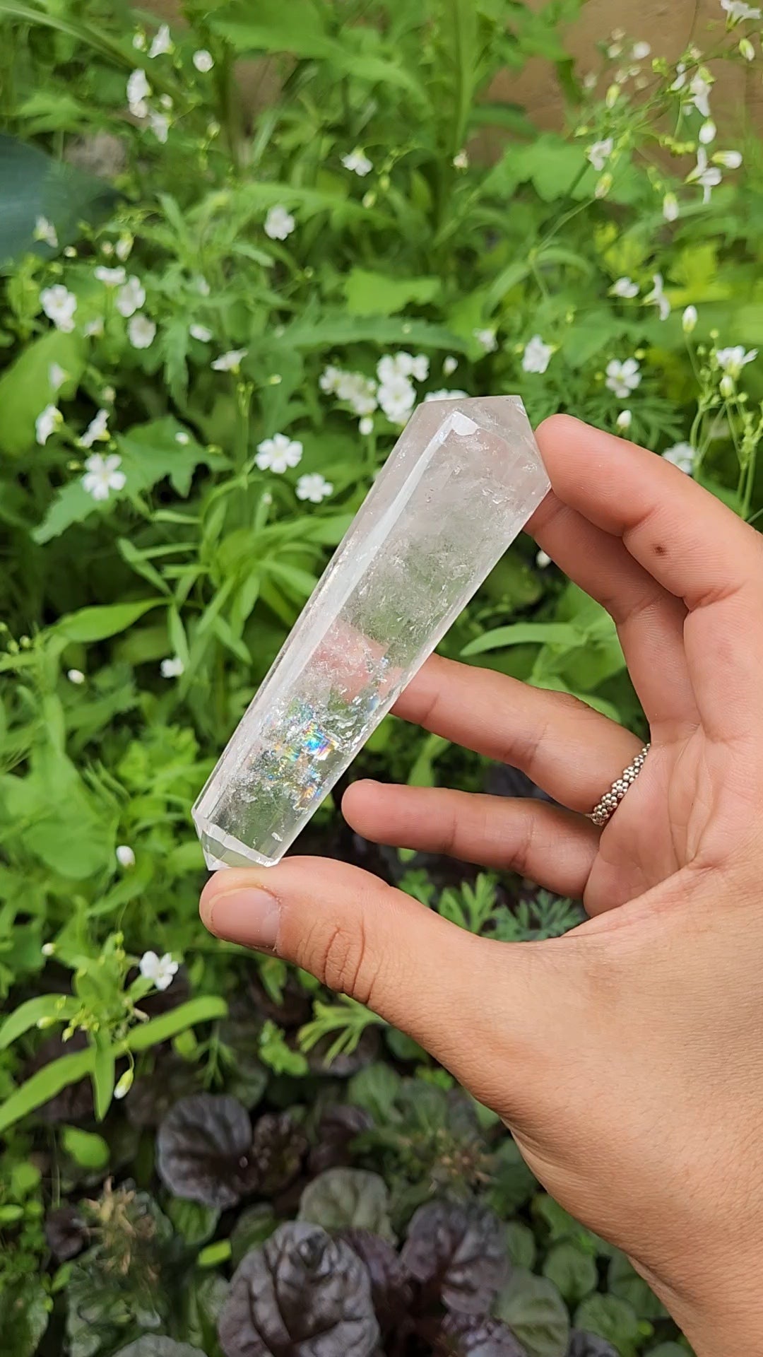 Clear Quartz Vogel