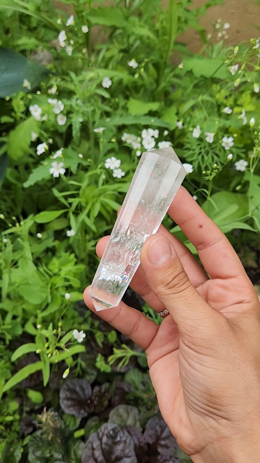 Clear Quartz Vogel
