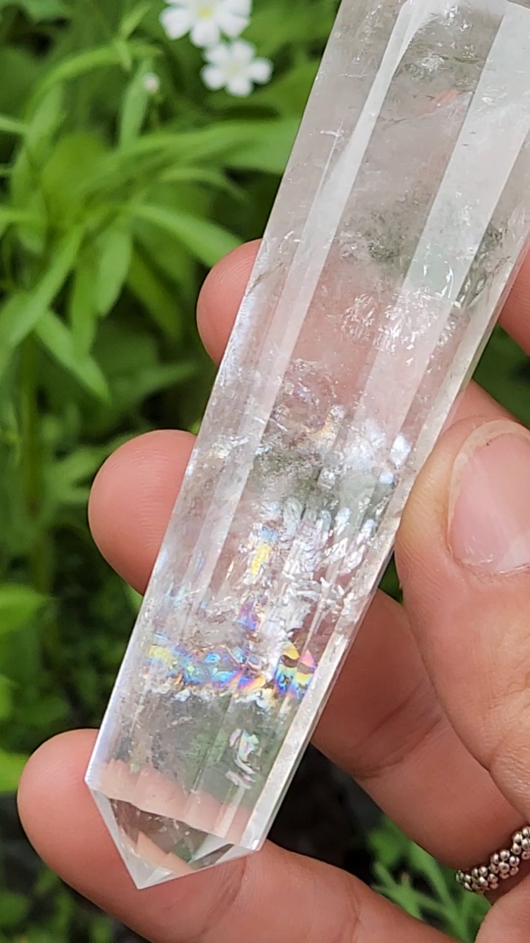 Clear Quartz Vogel