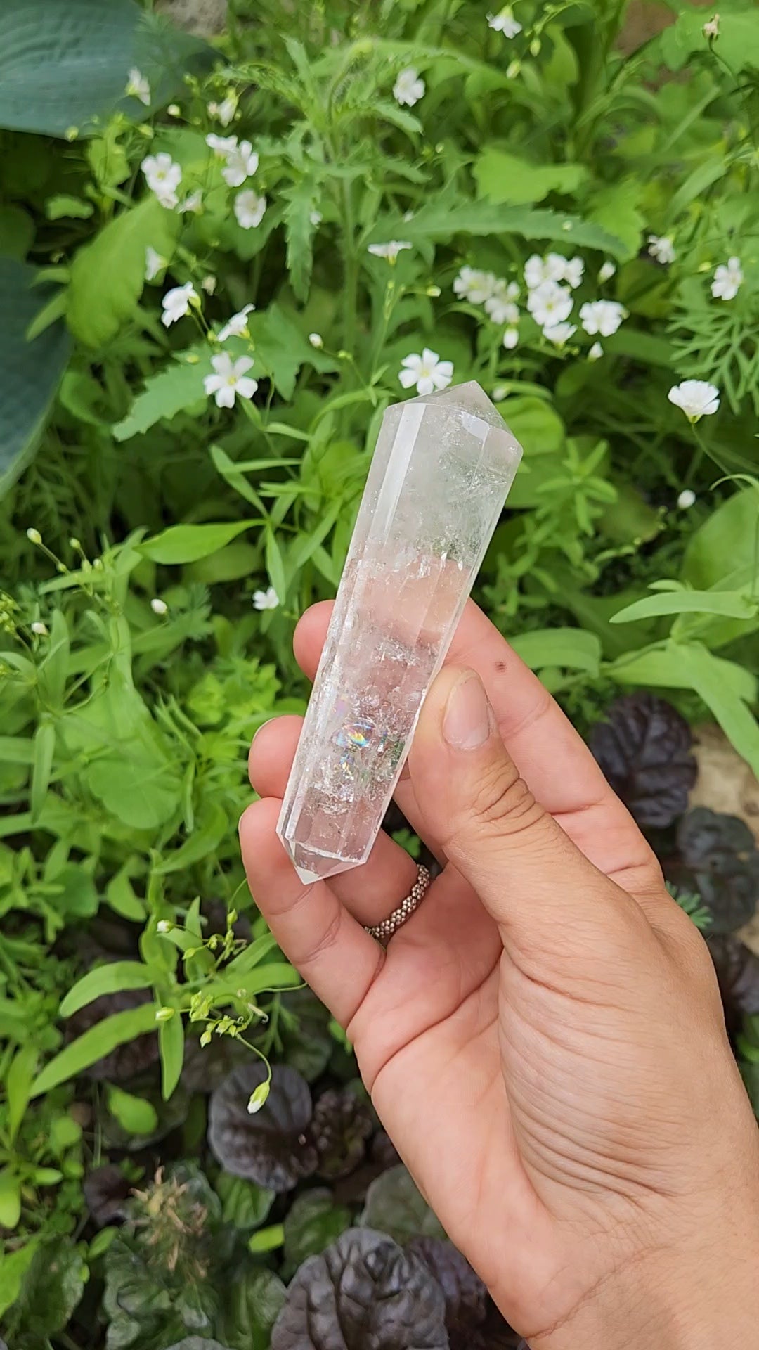 Clear Quartz Vogel