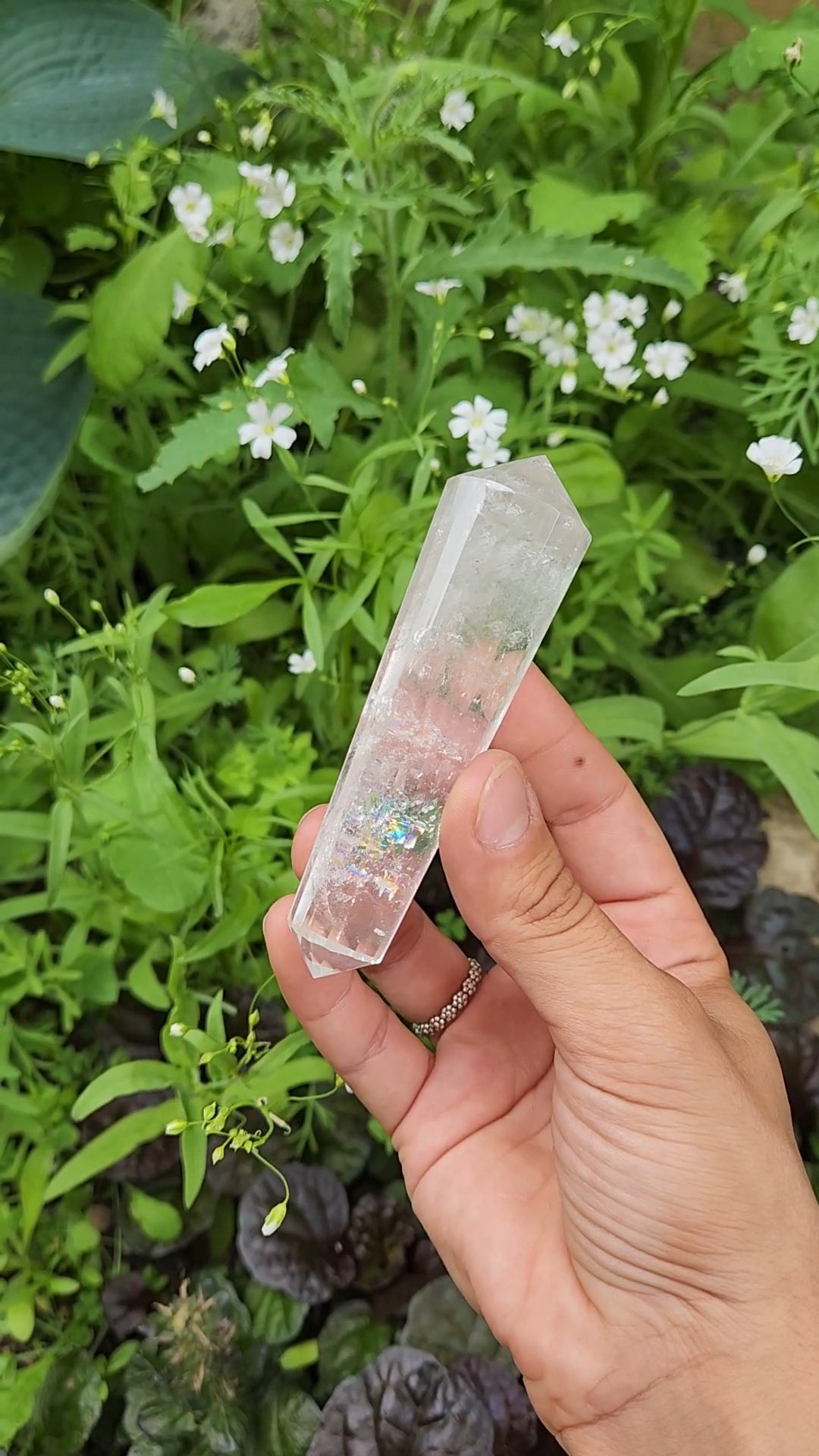 Clear Quartz Vogel