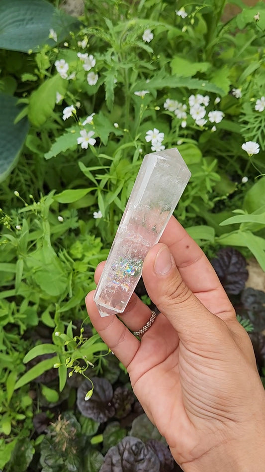 Clear Quartz Vogel