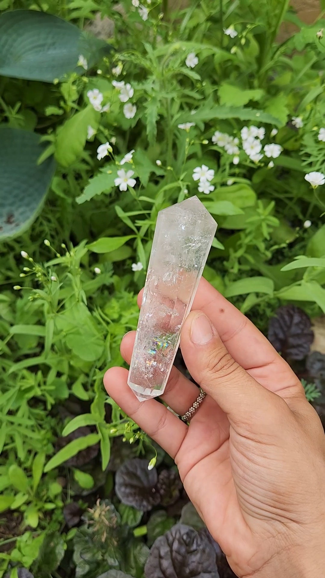 Clear Quartz Vogel