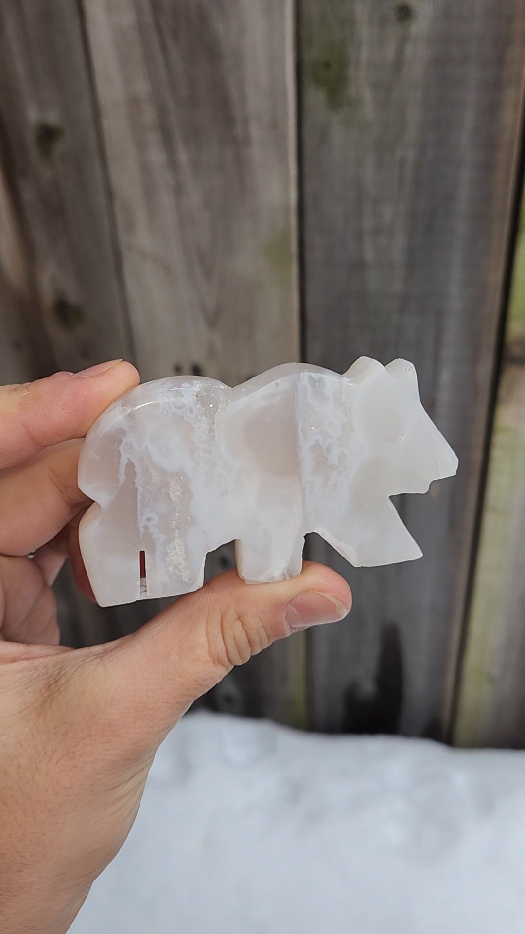 White Plume Agate Bear