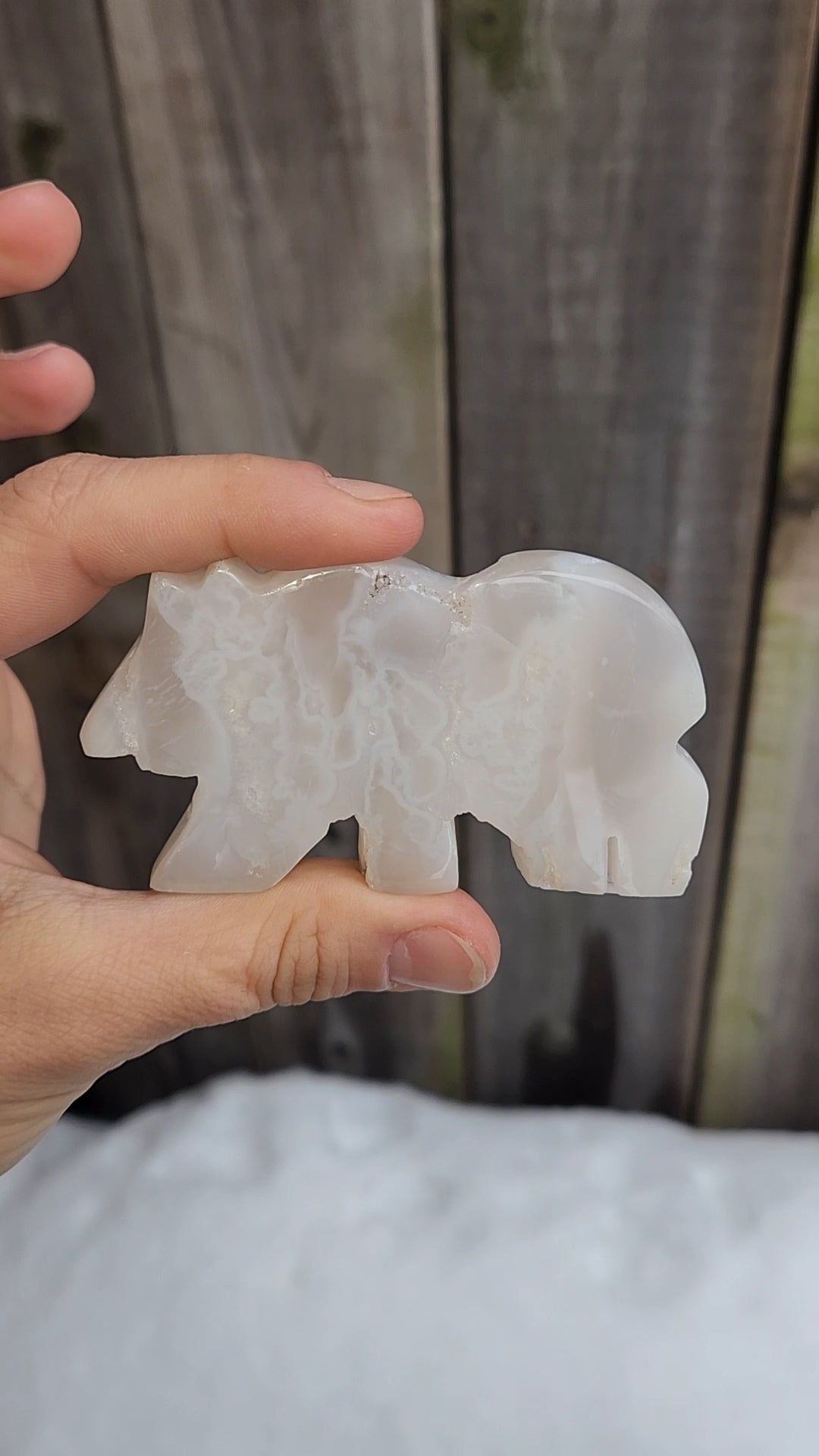 White Plume Agate Bear
