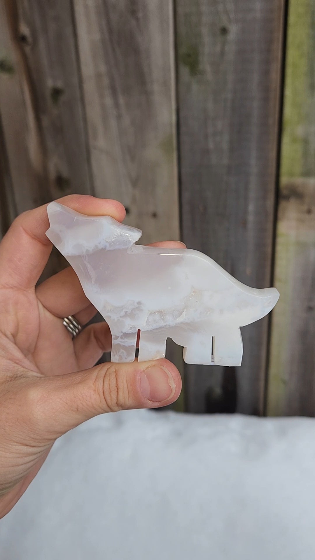 White Plume Agate Wolf