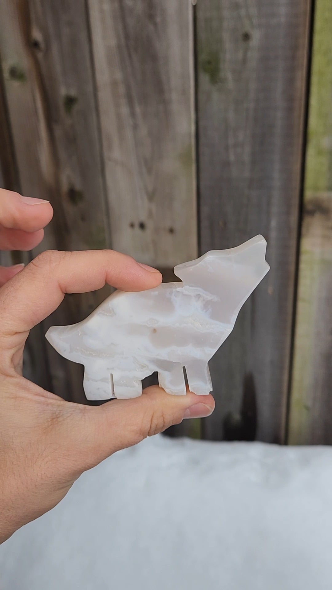 White Plume Agate Wolf