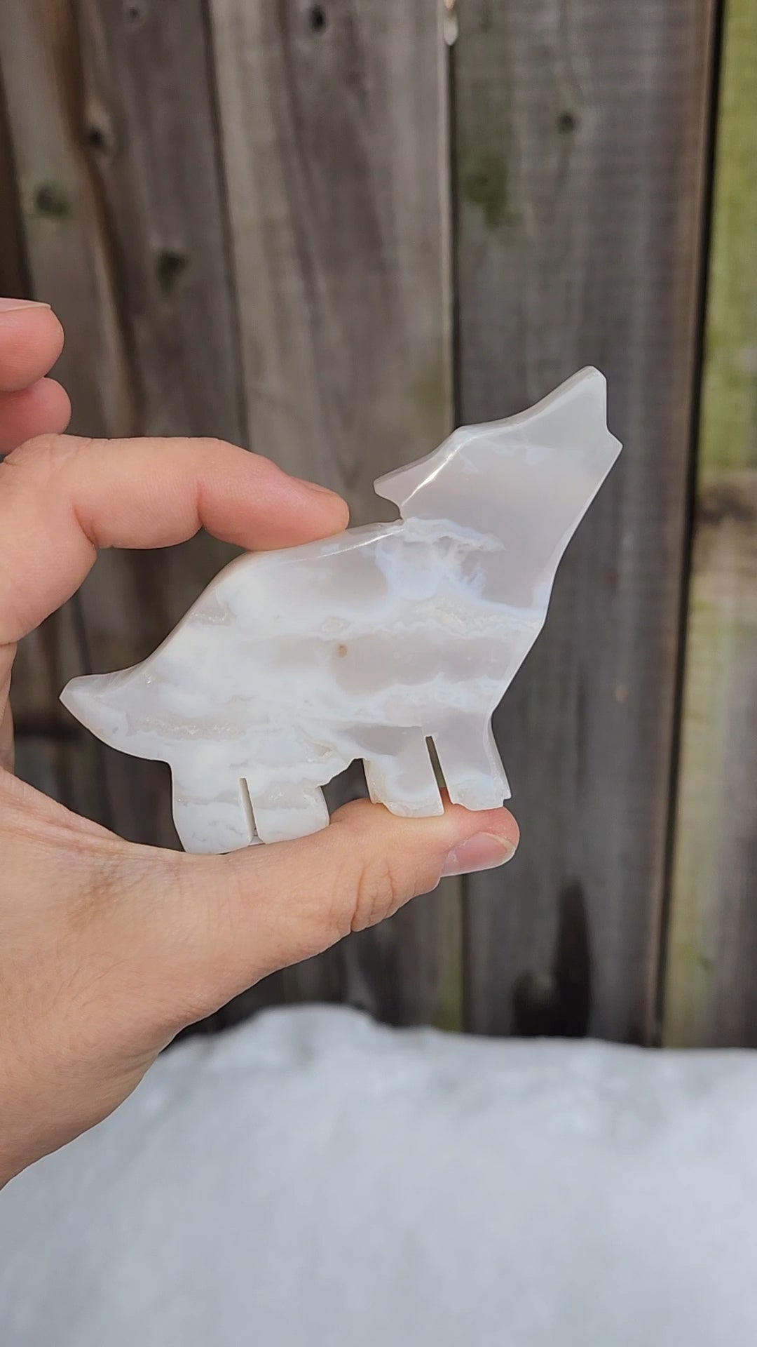 White Plume Agate Wolf