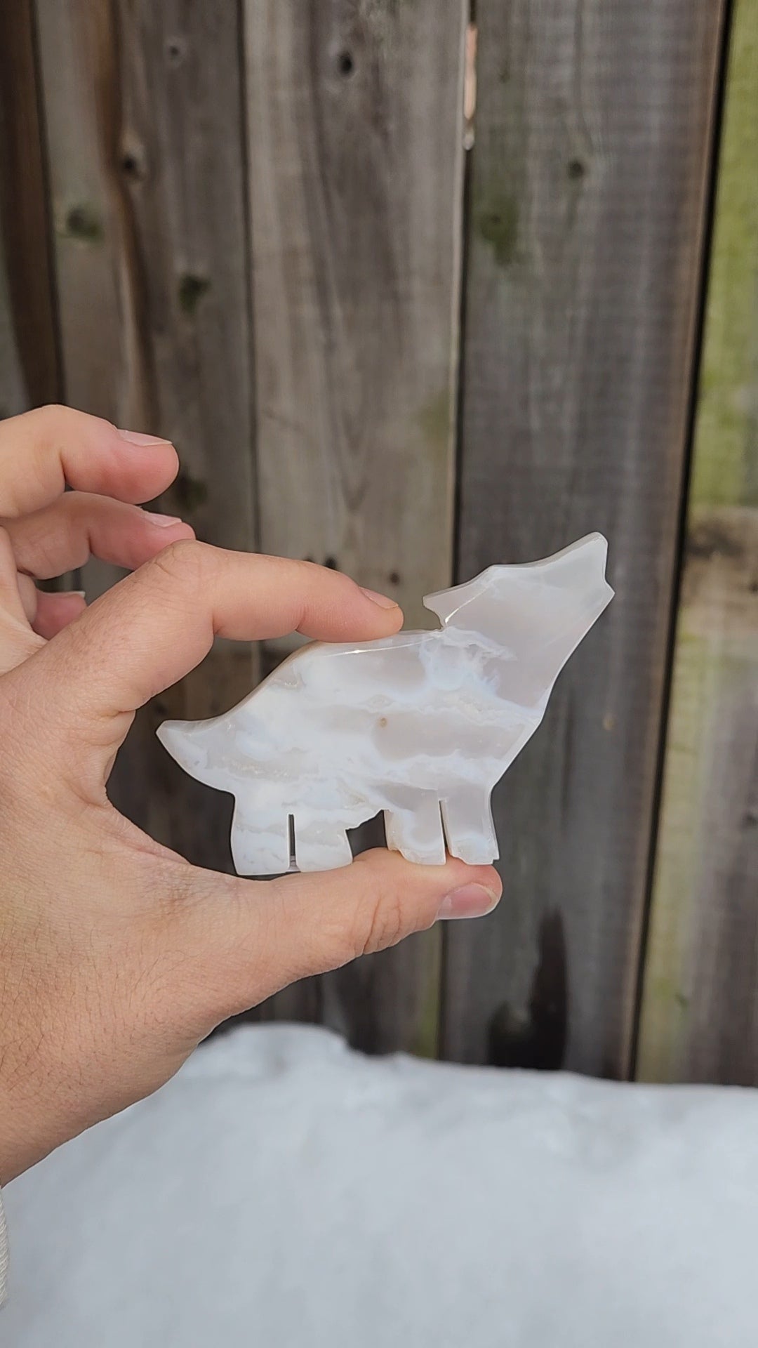 White Plume Agate Wolf