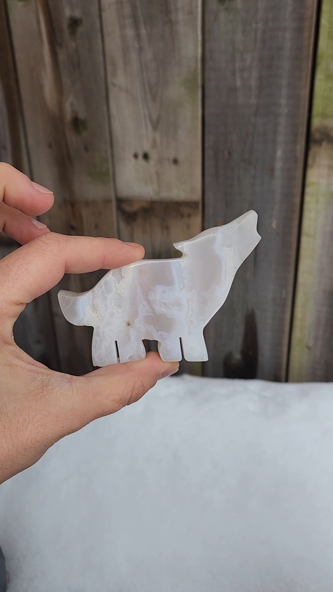 White Plume Agate Wolf
