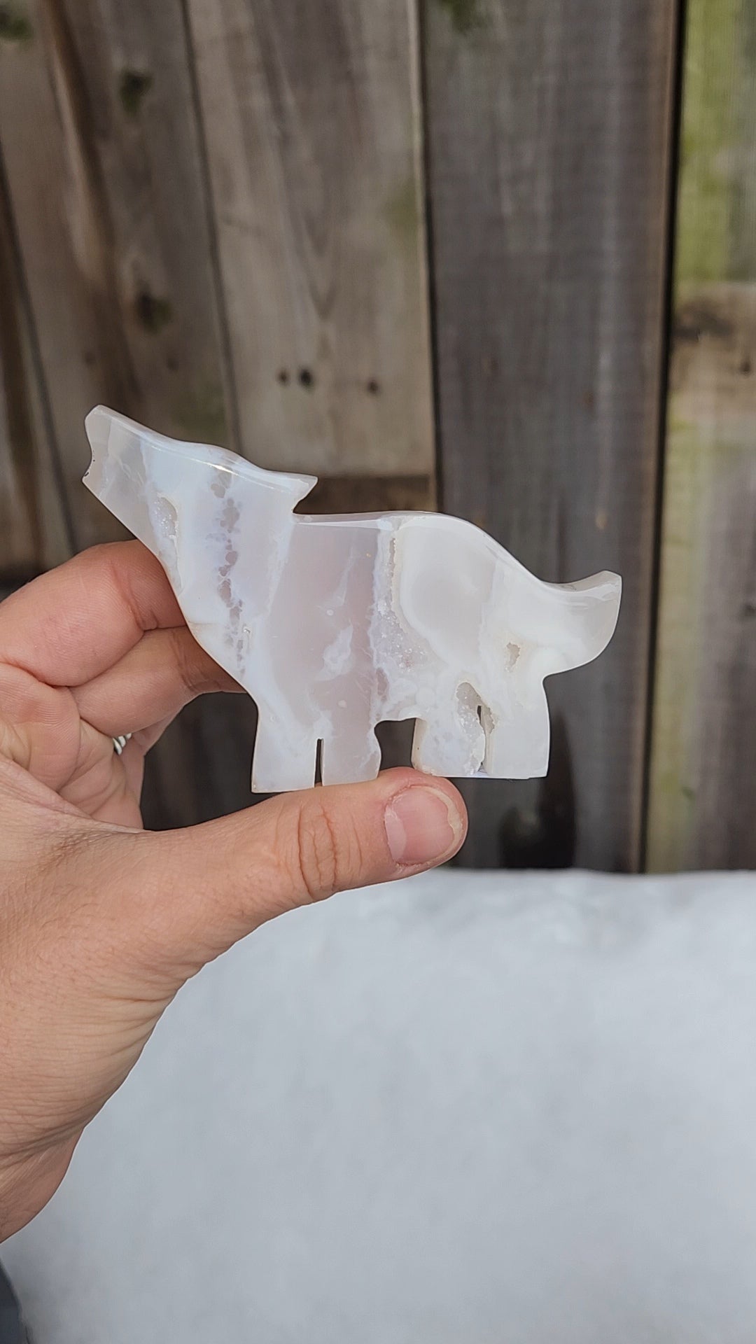 White Plume Agate Wolf