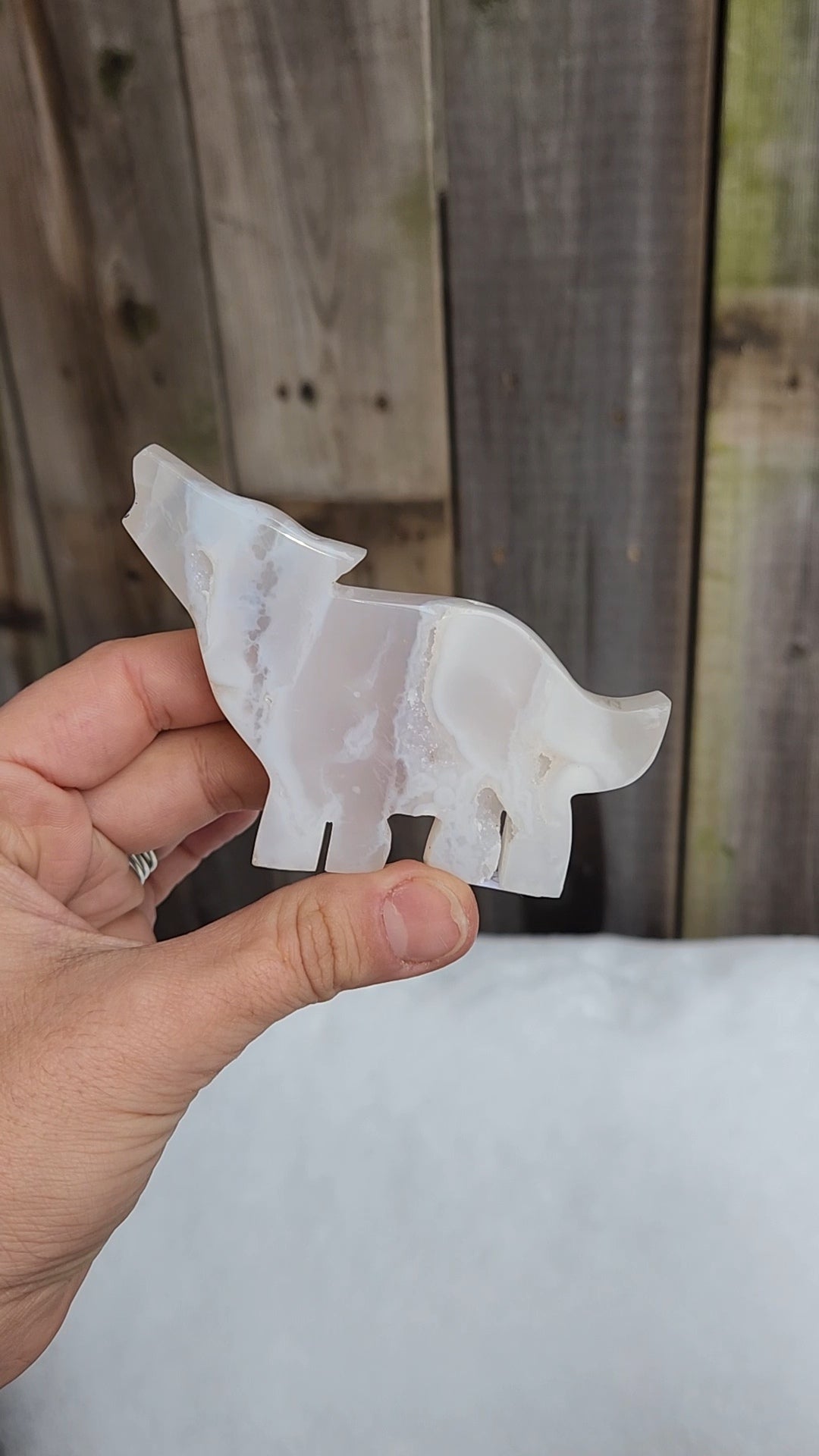 White Plume Agate Wolf