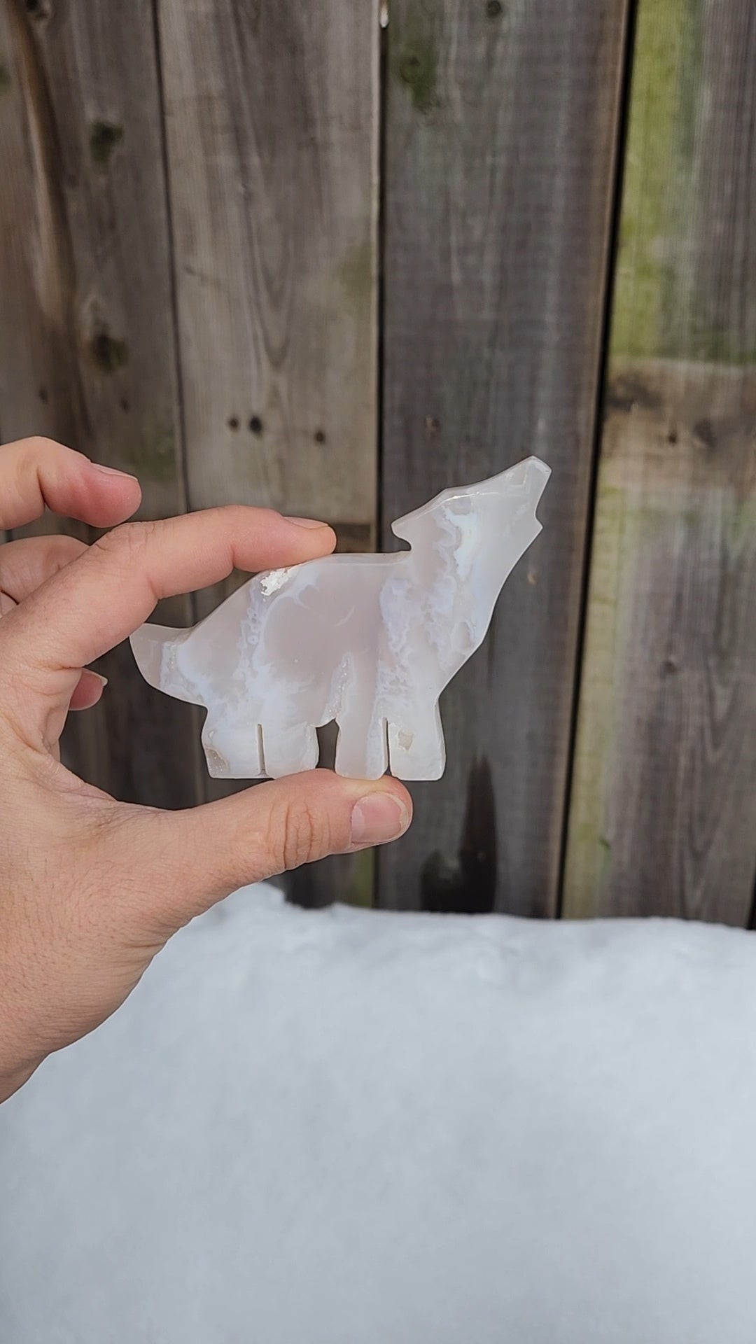 White Plume Agate Wolf