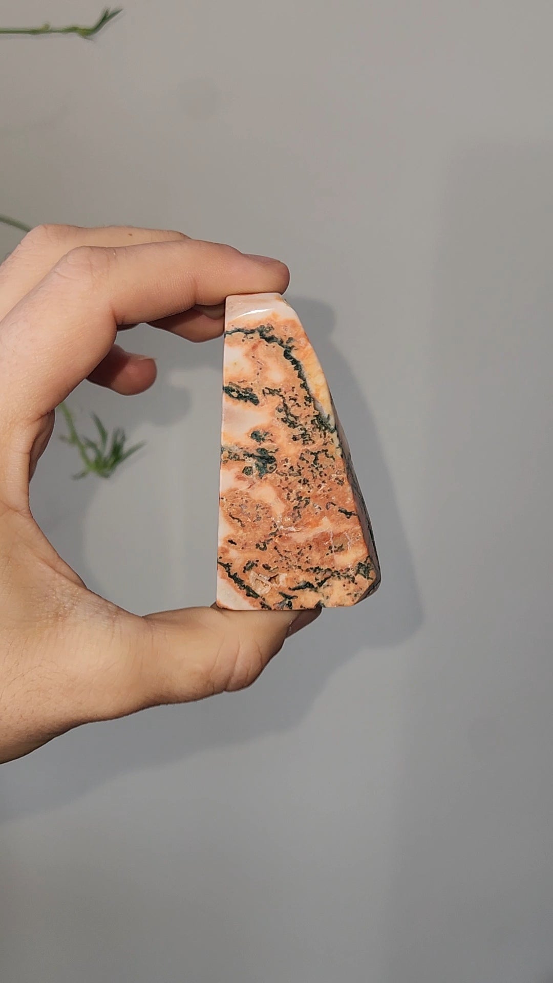 Red Moss Agate