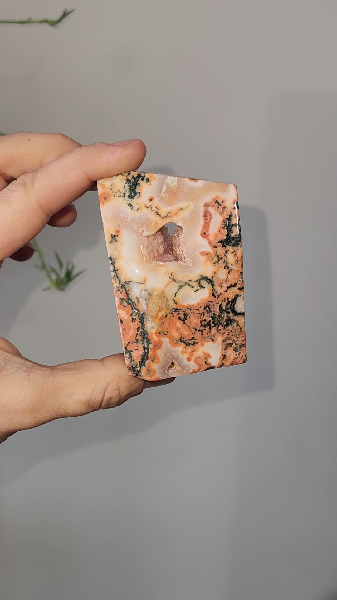 Red Moss Agate