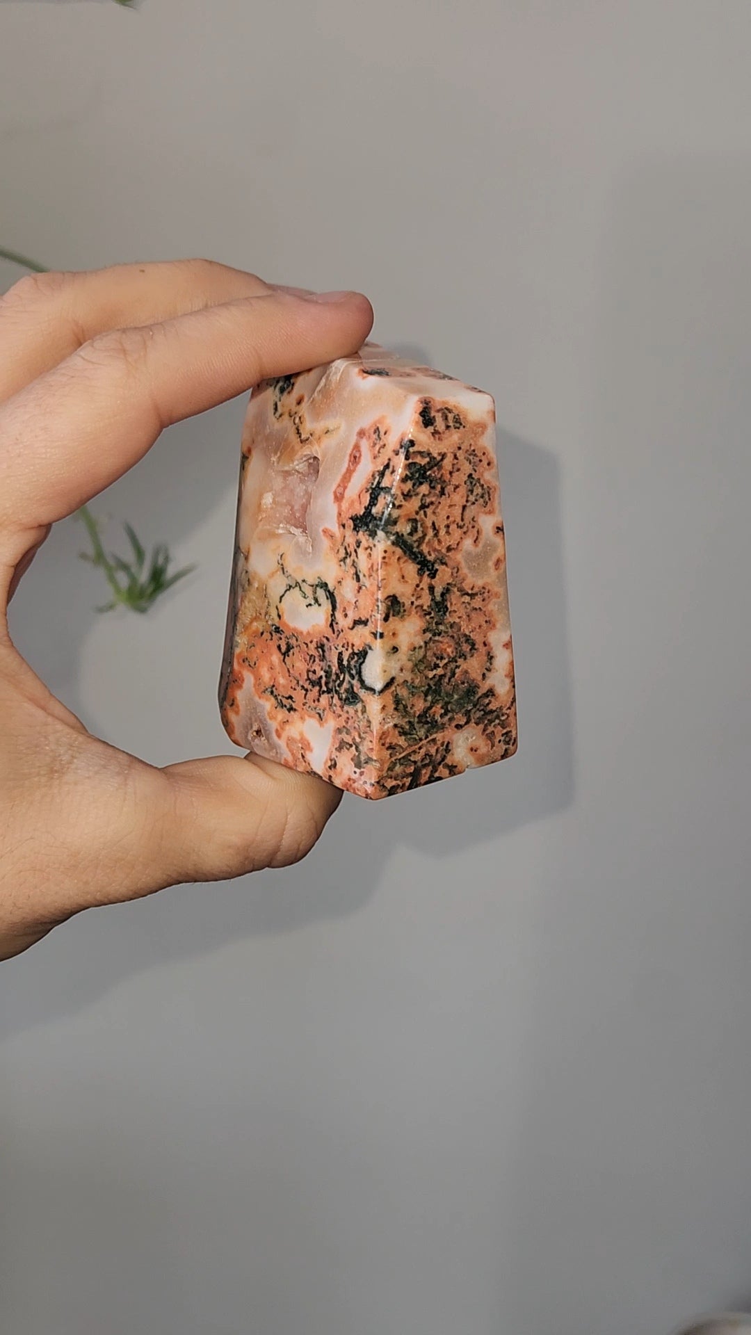 Red Moss Agate