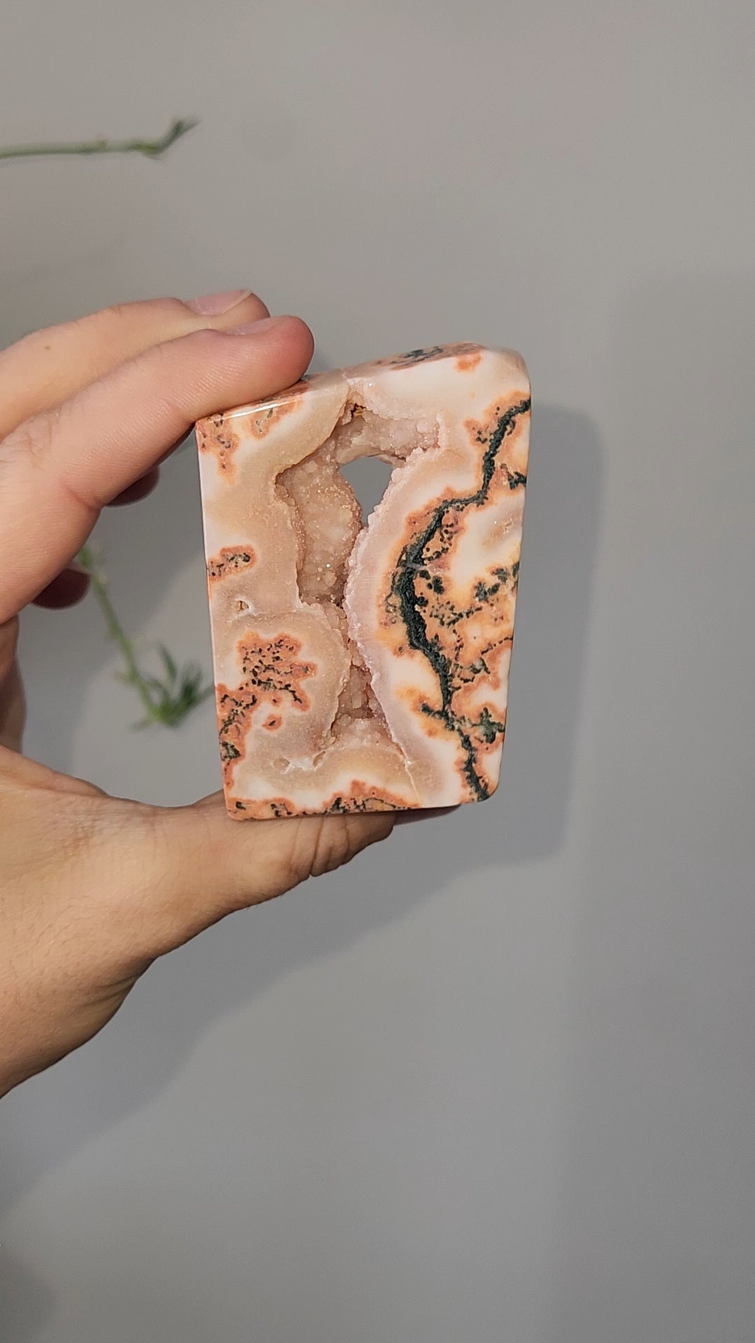 Red Moss Agate