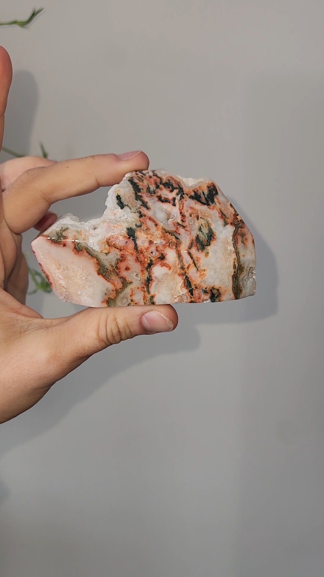 Red Moss Agate
