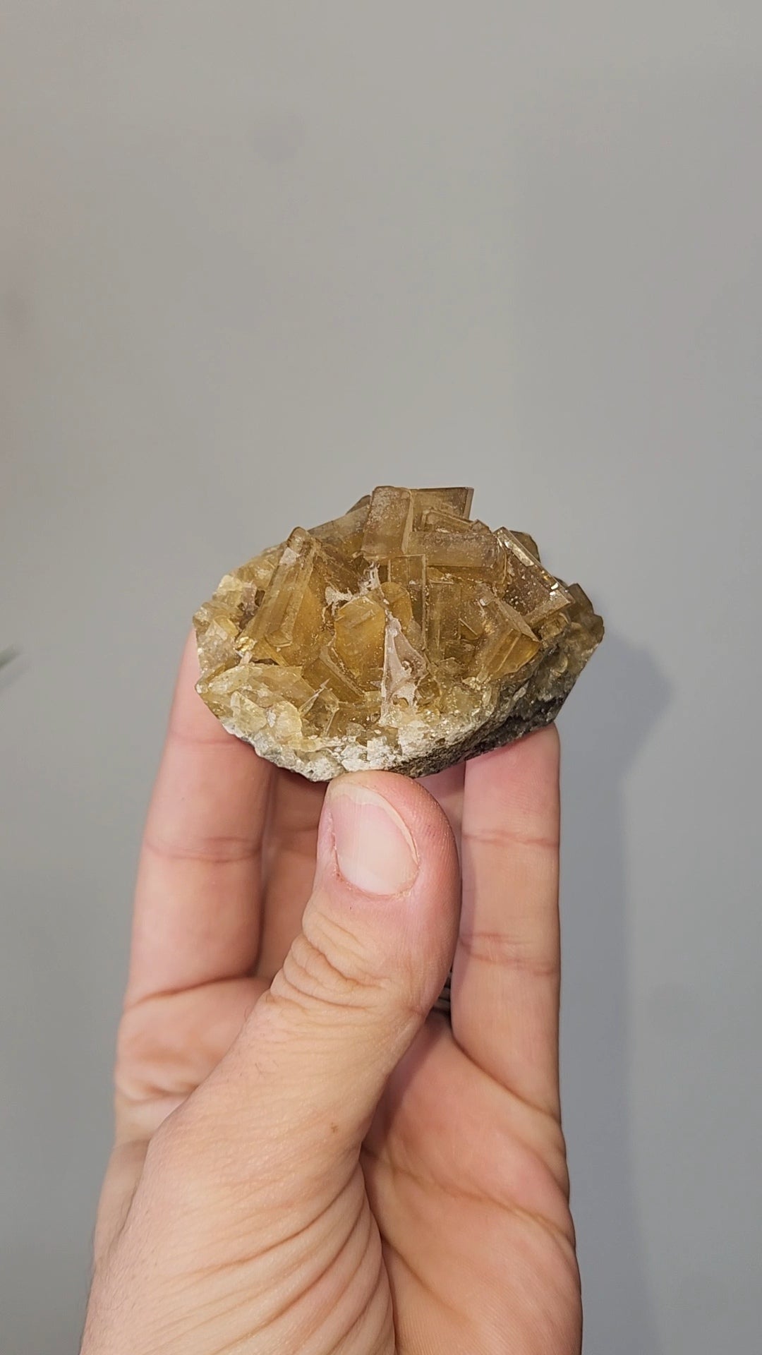 Barite B