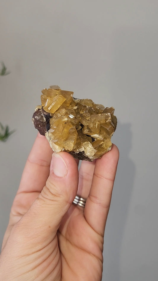 Barite D