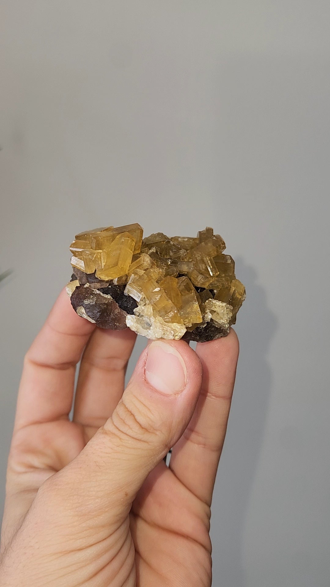 Barite D