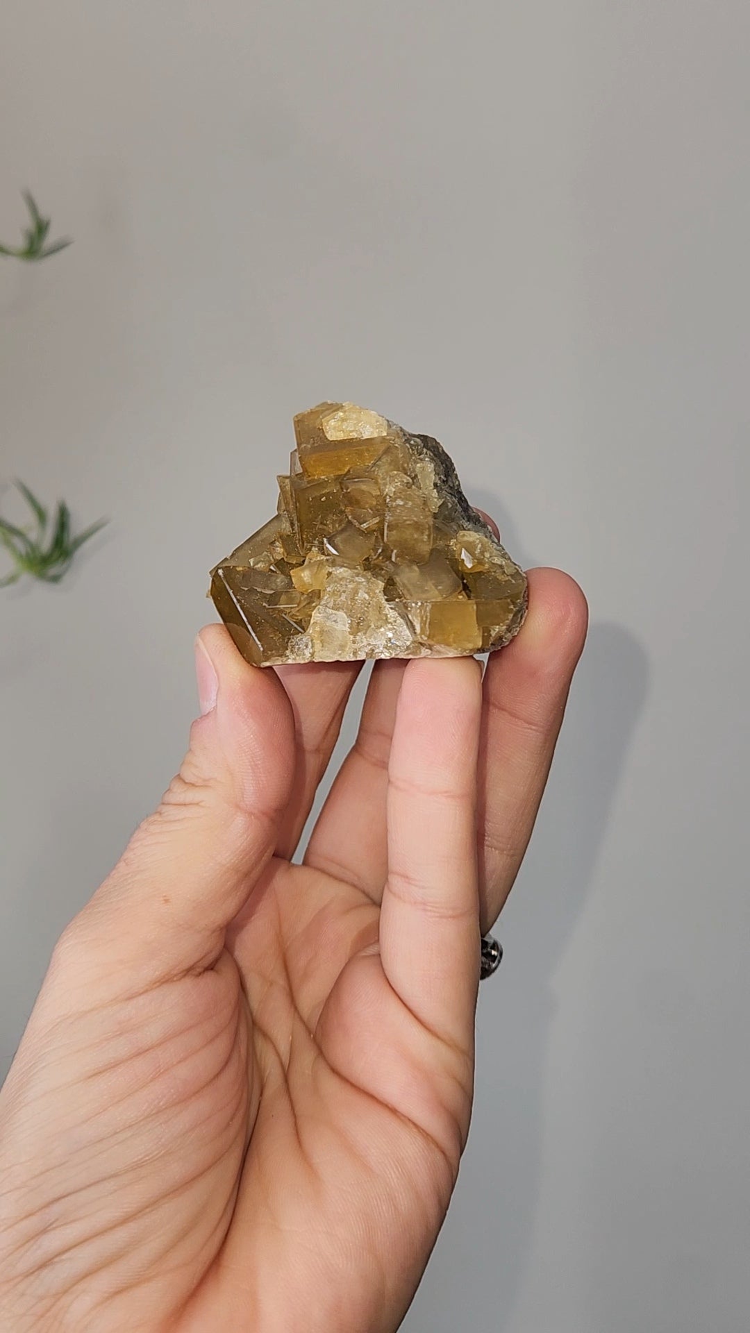 Barite F