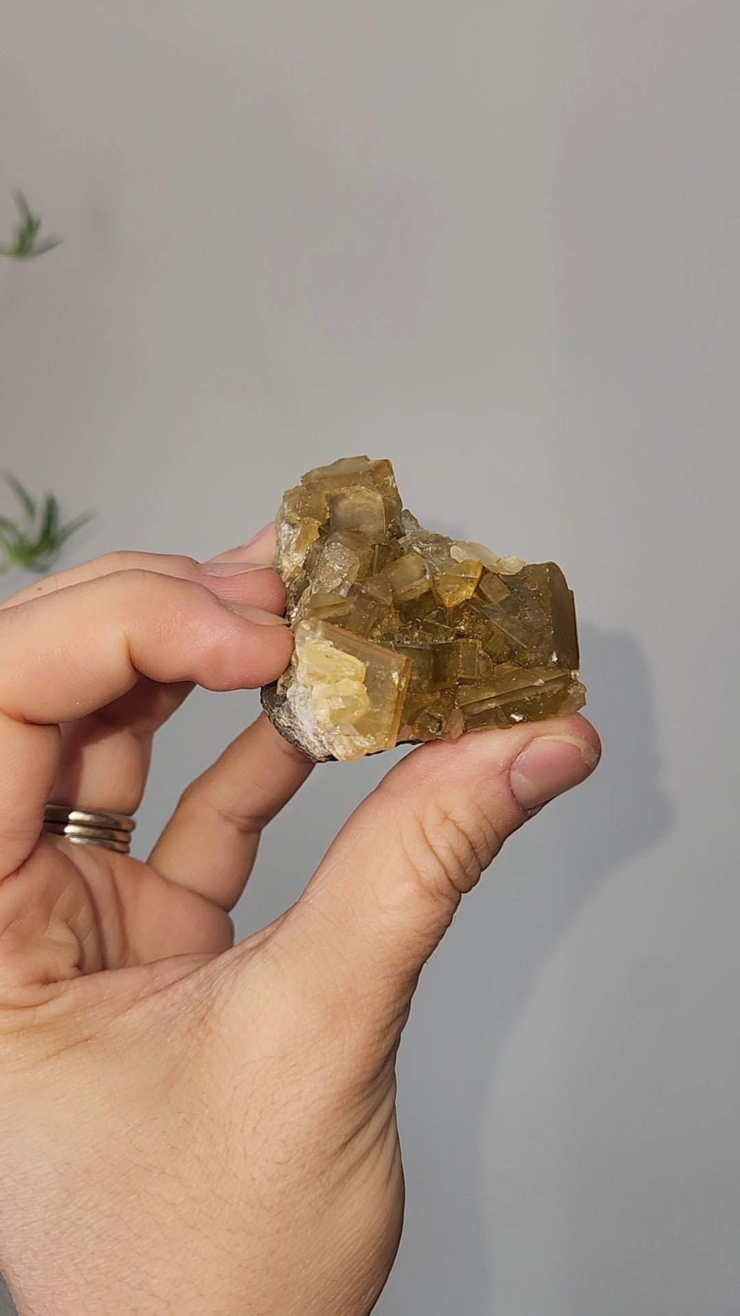 Barite F