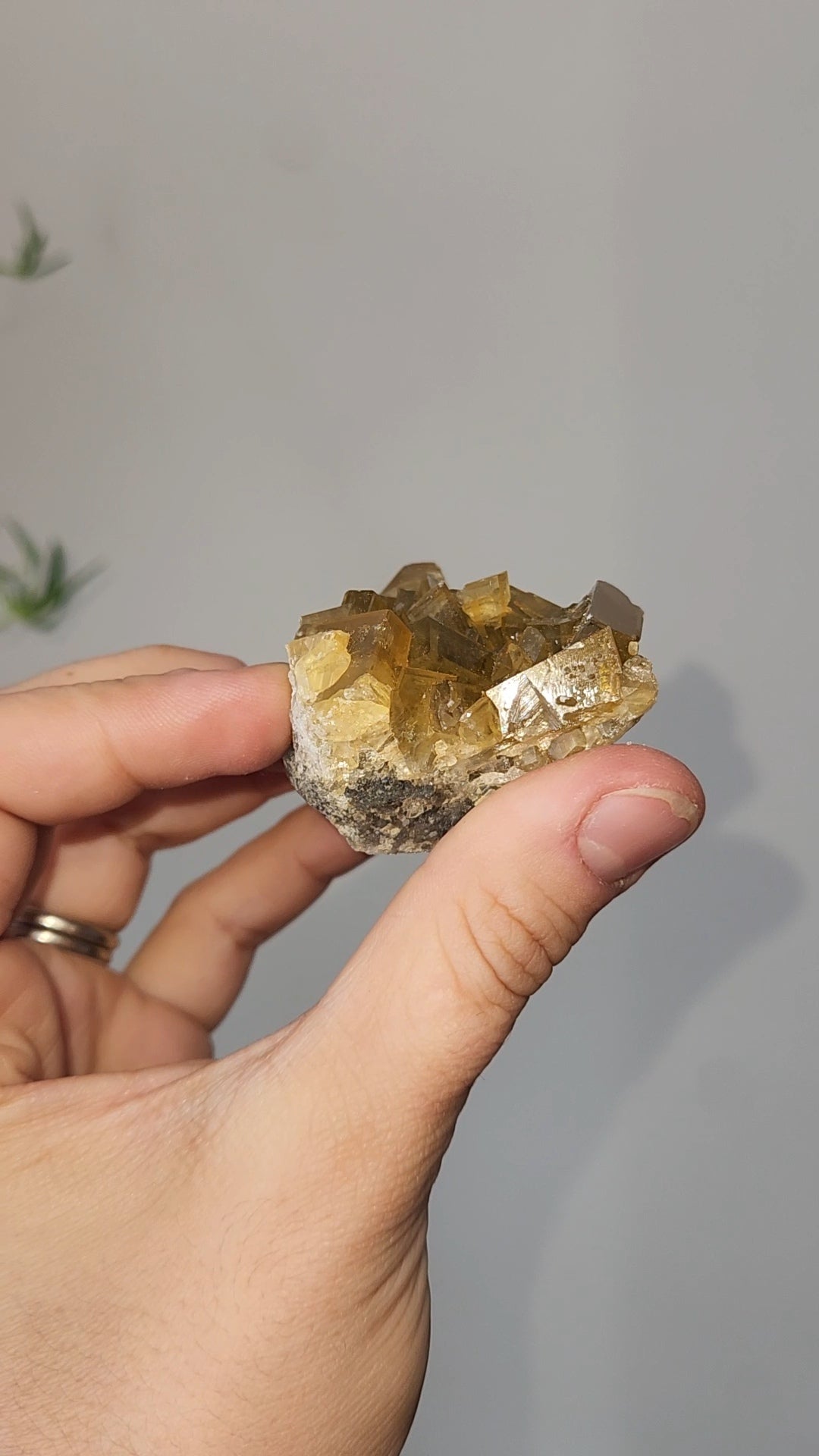 Barite F