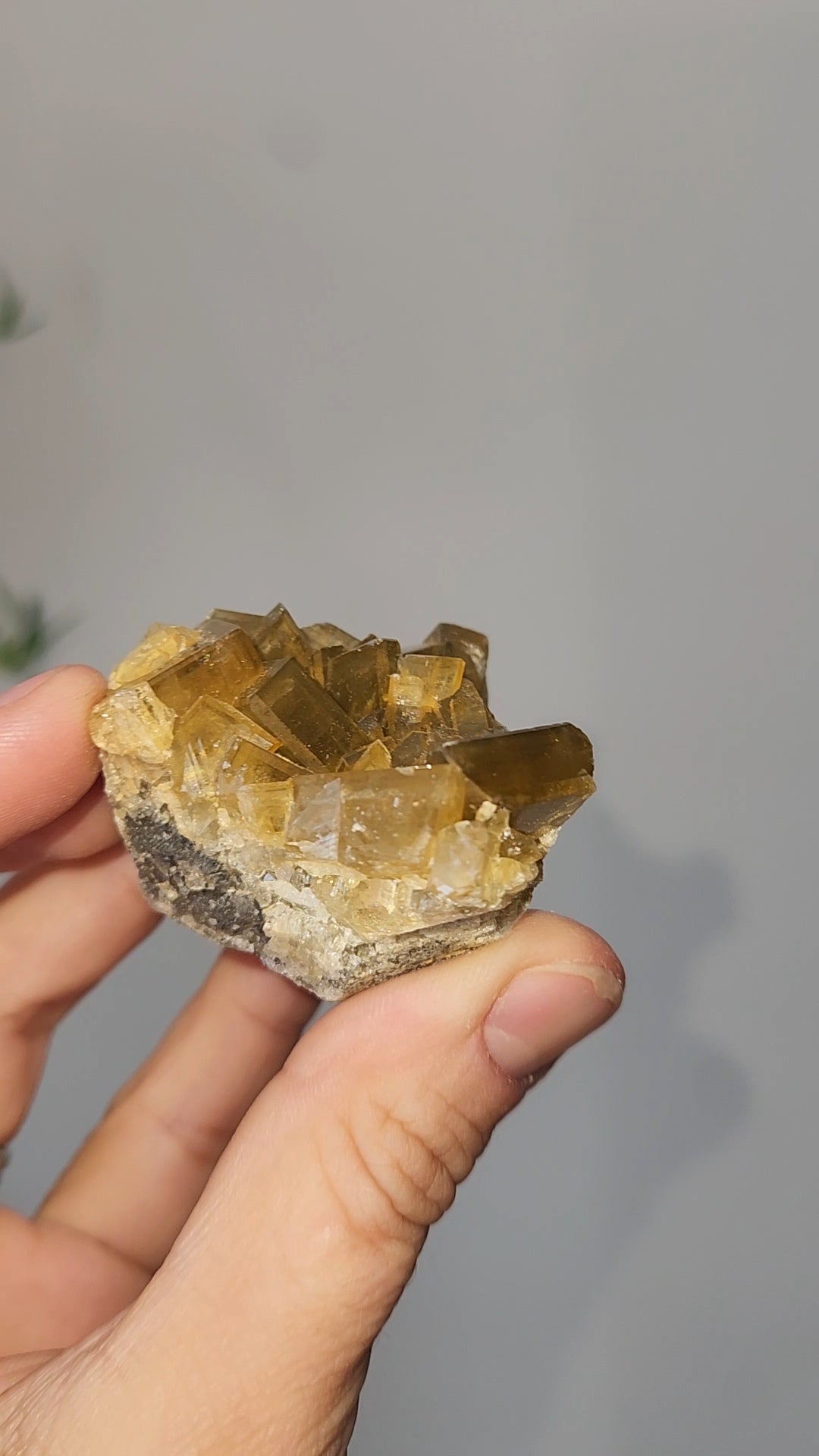 Barite F