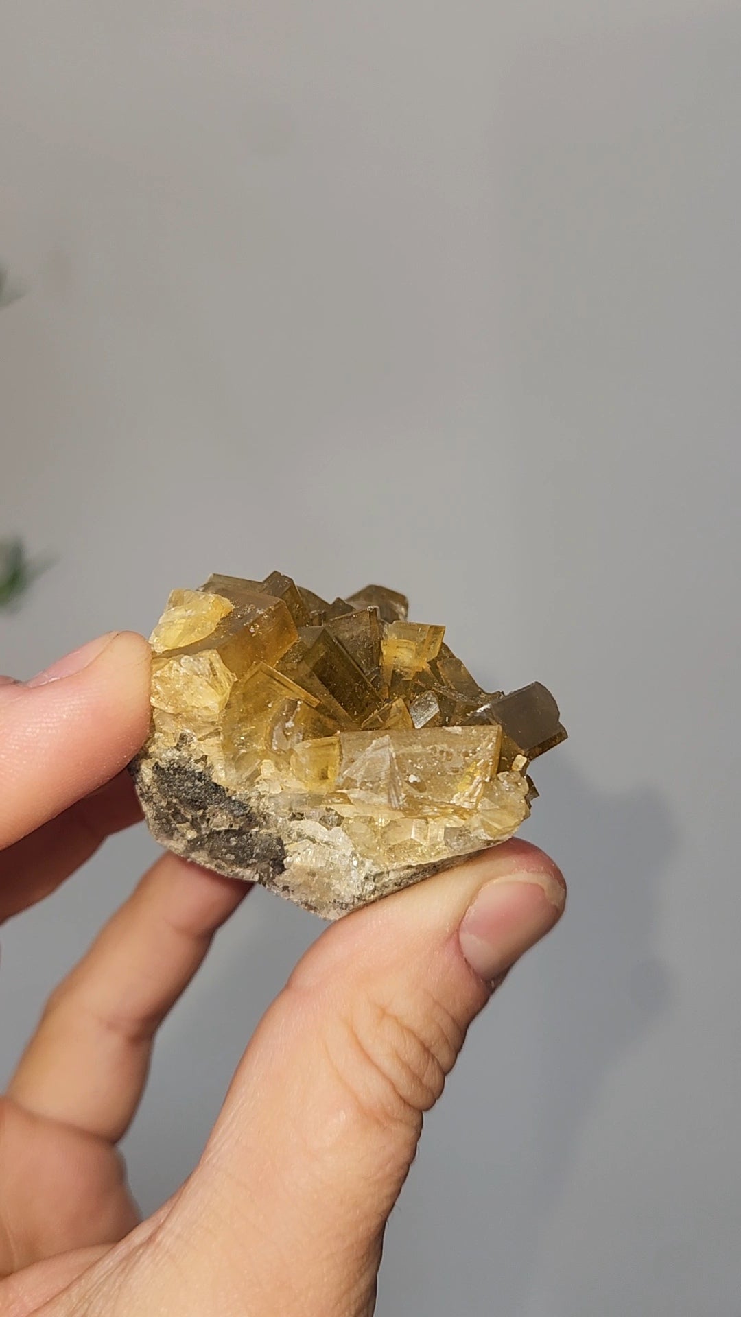 Barite F
