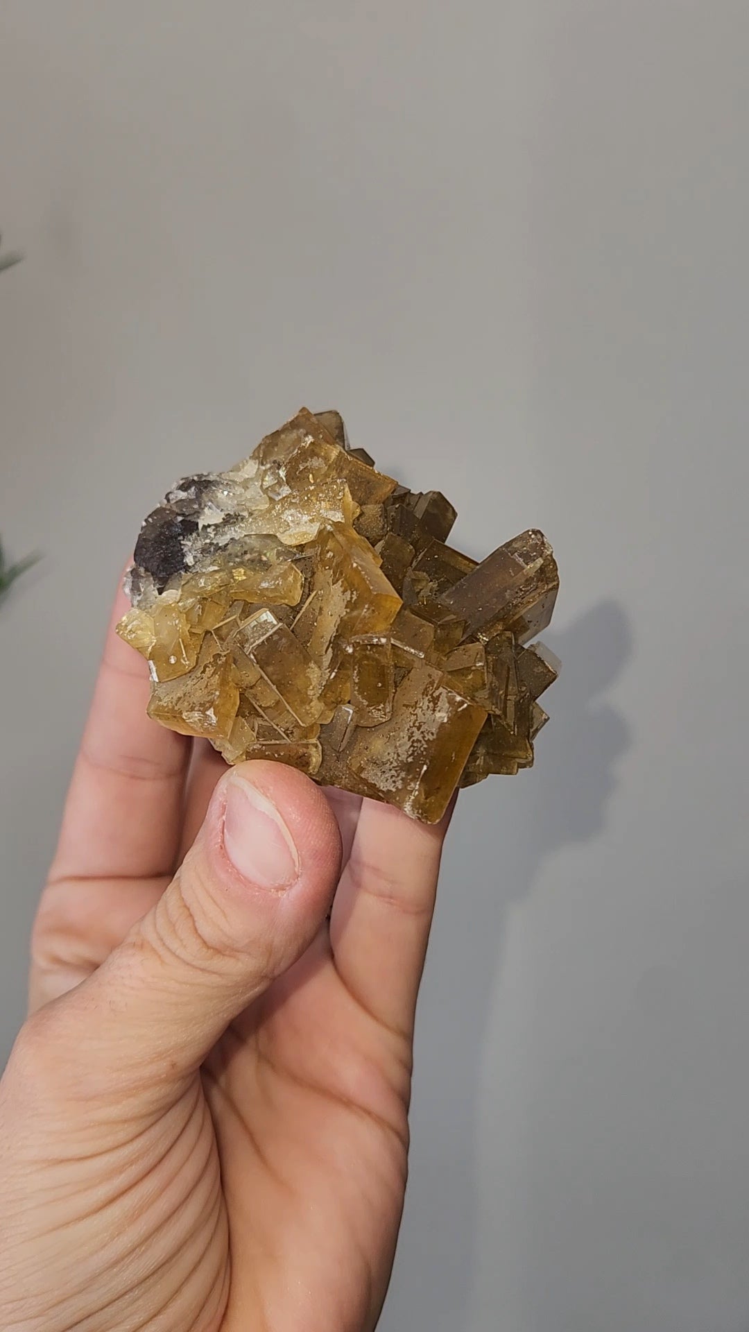 Barite H