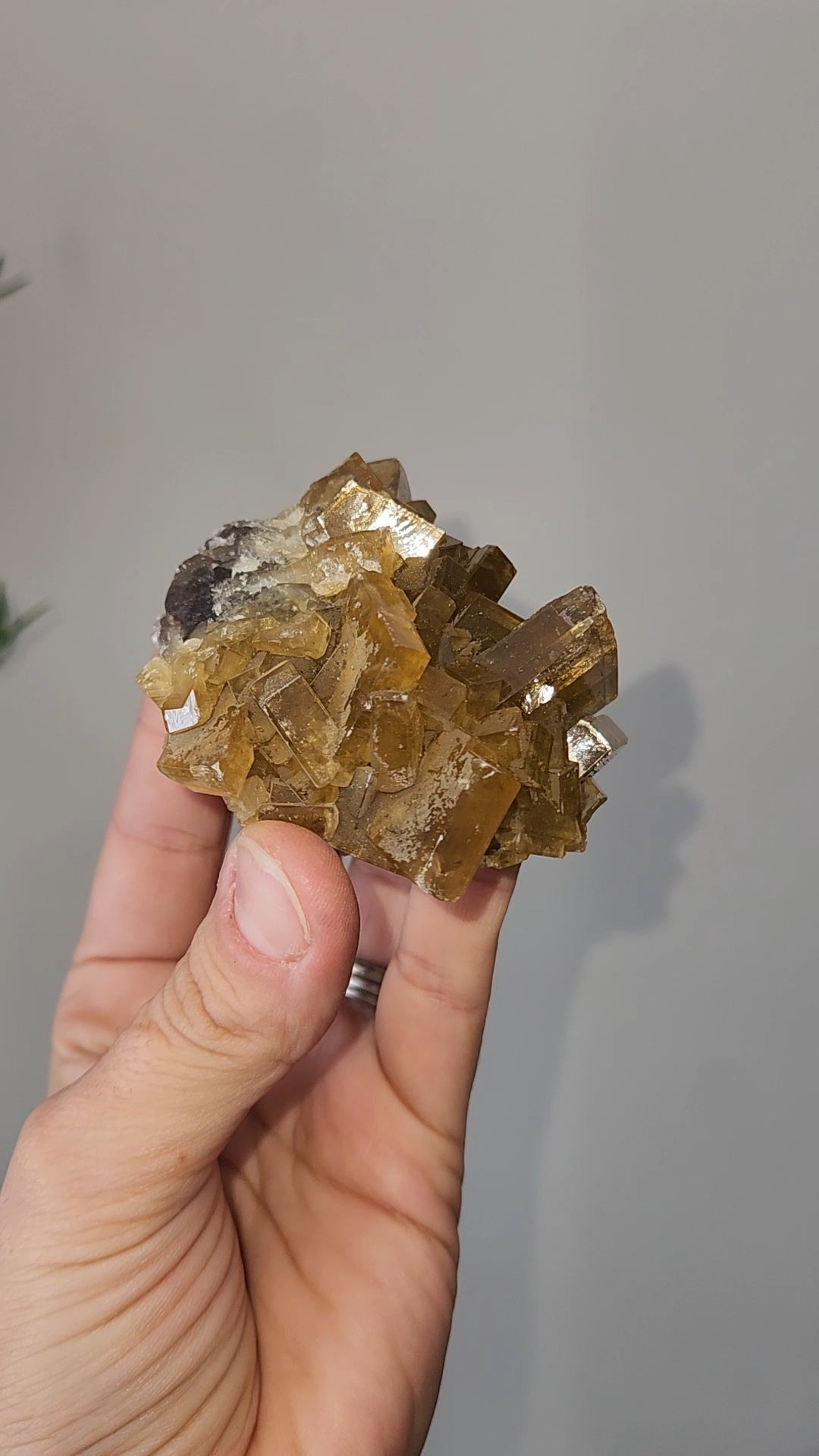Barite H